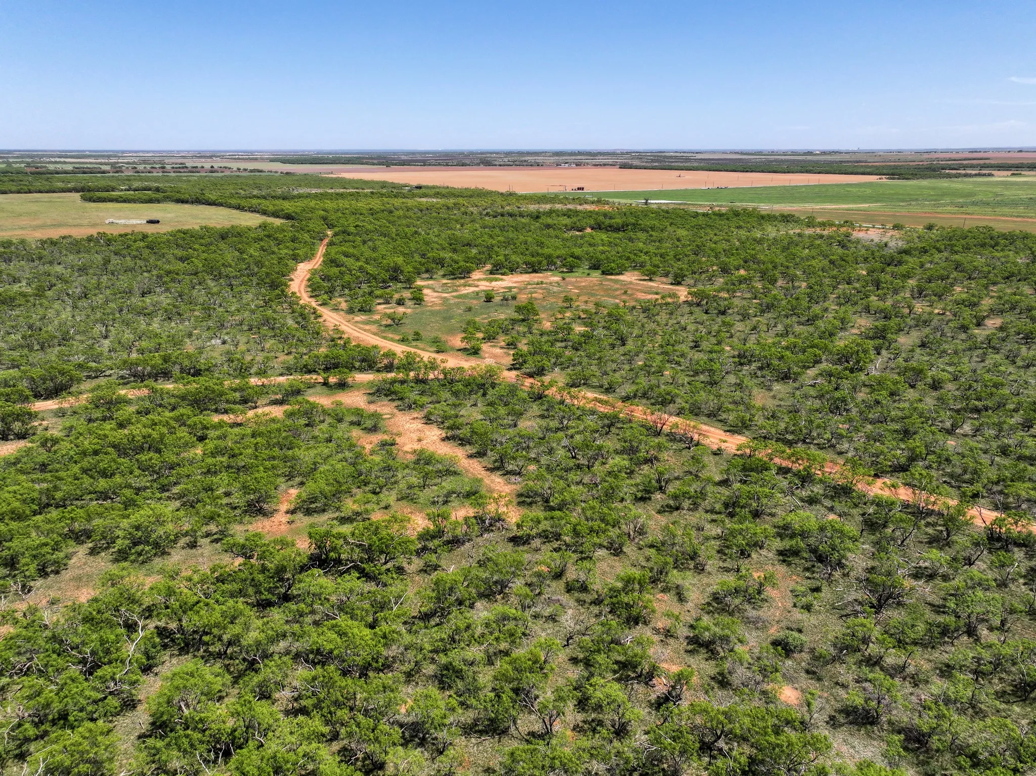 Unimproved Land For Sale in Jones County , TBD Tract 9 FM 1812, Hawley, Texas 79525, 0, 0, Garage spaces, 0 Sqft, built in 0, Price $84,900, mls#21270327, Real Estate Agent in Hawley, Homes For Sale in Jones county, Homes For Sale in Hawley, Realtor in Hawley Texas, Real Estate Brokerage Independent Realty Texas, Luminita Cordes Realtor