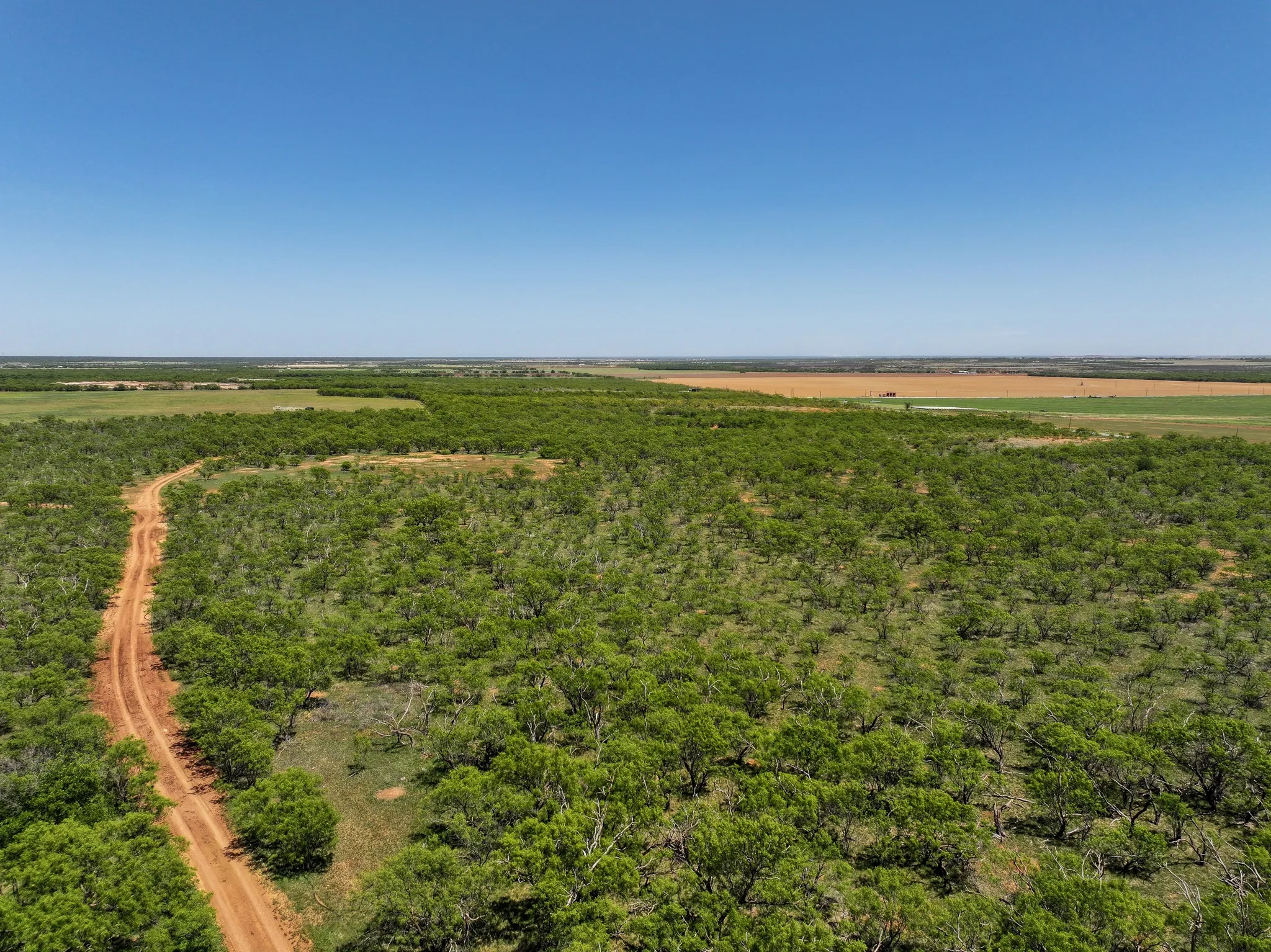 Unimproved Land For Sale in Jones County , TBD Tract 9 FM 1812, Hawley, Texas 79525, 0, 0, Garage spaces, 0 Sqft, built in 0, Price $84,900, mls#21270327, Real Estate Agent in Hawley, Homes For Sale in Jones county, Homes For Sale in Hawley, Realtor in Hawley Texas, Real Estate Brokerage Independent Realty Texas, Luminita Cordes Realtor