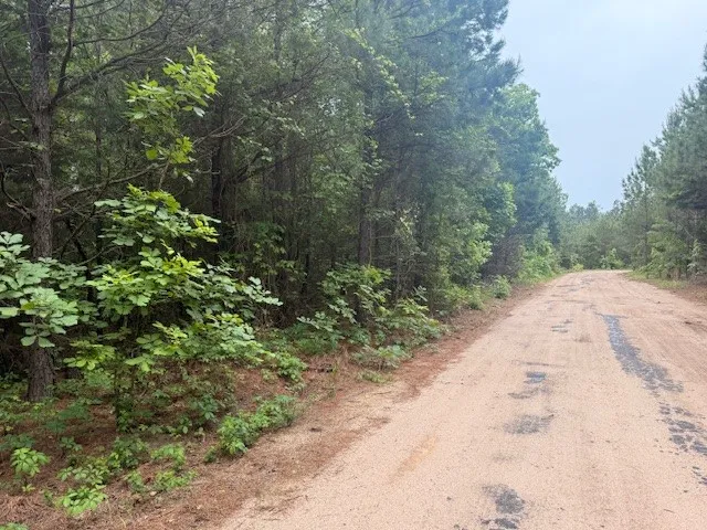 Unimproved Land For Sale in Wood County , 000 Private Rd 7832, Hawkins, Texas 75765, 0, 0, Garage spaces, 0 Sqft, built in 0, Price $345,990, mls#21270337, Real Estate Agent in Hawkins, Homes For Sale in Wood county, Homes For Sale in Hawkins, Realtor in Hawkins Texas, Real Estate Brokerage Independent Realty Texas, Luminita Cordes Realtor