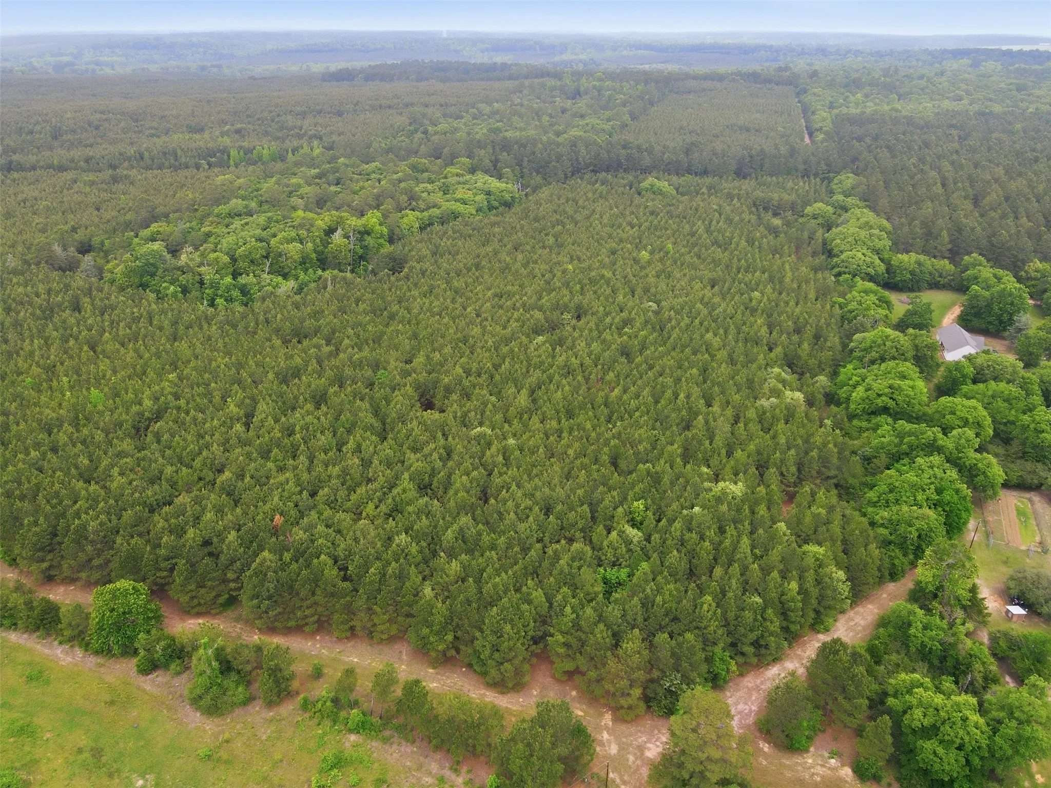 Unimproved Land For Sale in Wood County , 000 Private Rd 7832, Hawkins, Texas 75765, 0, 0, Garage spaces, 0 Sqft, built in 0, Price $345,990, mls#21270337, Real Estate Agent in Hawkins, Homes For Sale in Wood county, Homes For Sale in Hawkins, Realtor in Hawkins Texas, Real Estate Brokerage Independent Realty Texas, Luminita Cordes Realtor