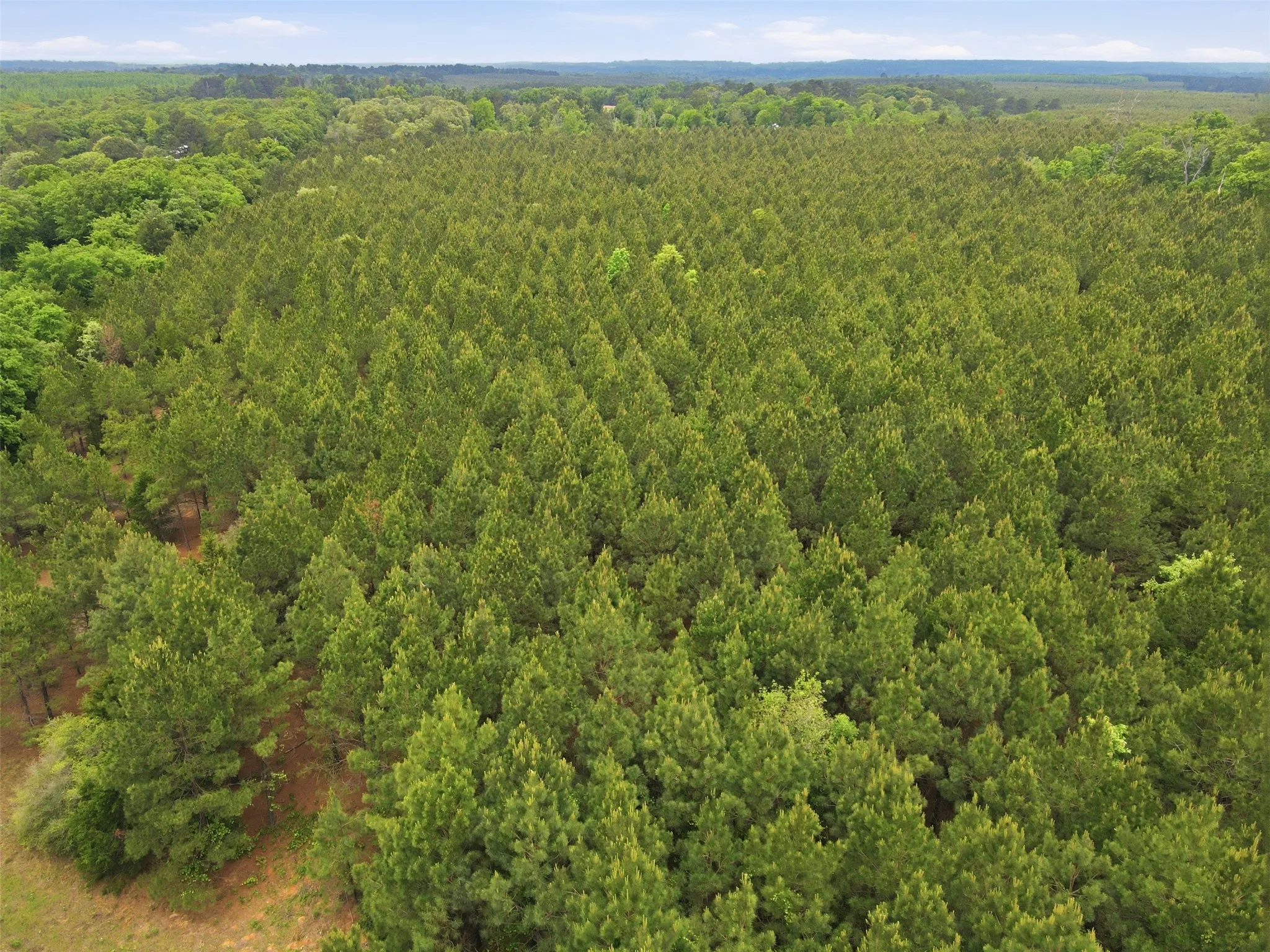 Unimproved Land For Sale in Wood County , 000 Private Rd 7832, Hawkins, Texas 75765, 0, 0, Garage spaces, 0 Sqft, built in 0, Price $345,990, mls#21270337, Real Estate Agent in Hawkins, Homes For Sale in Wood county, Homes For Sale in Hawkins, Realtor in Hawkins Texas, Real Estate Brokerage Independent Realty Texas, Luminita Cordes Realtor