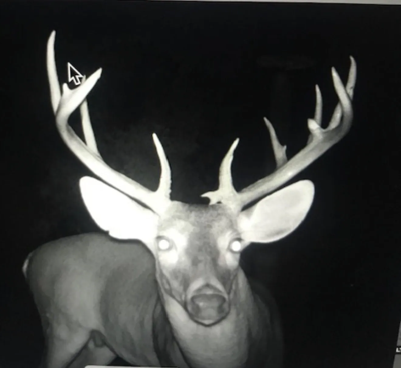 Unimproved Land For Sale in Wood County , 000 Private Rd 7832, Hawkins, Texas 75765, 0, 0, Garage spaces, 0 Sqft, built in 0, Price $345,990, mls#21270337, Real Estate Agent in Hawkins, Homes For Sale in Wood county, Homes For Sale in Hawkins, Realtor in Hawkins Texas, Real Estate Brokerage Independent Realty Texas, Luminita Cordes Realtor
