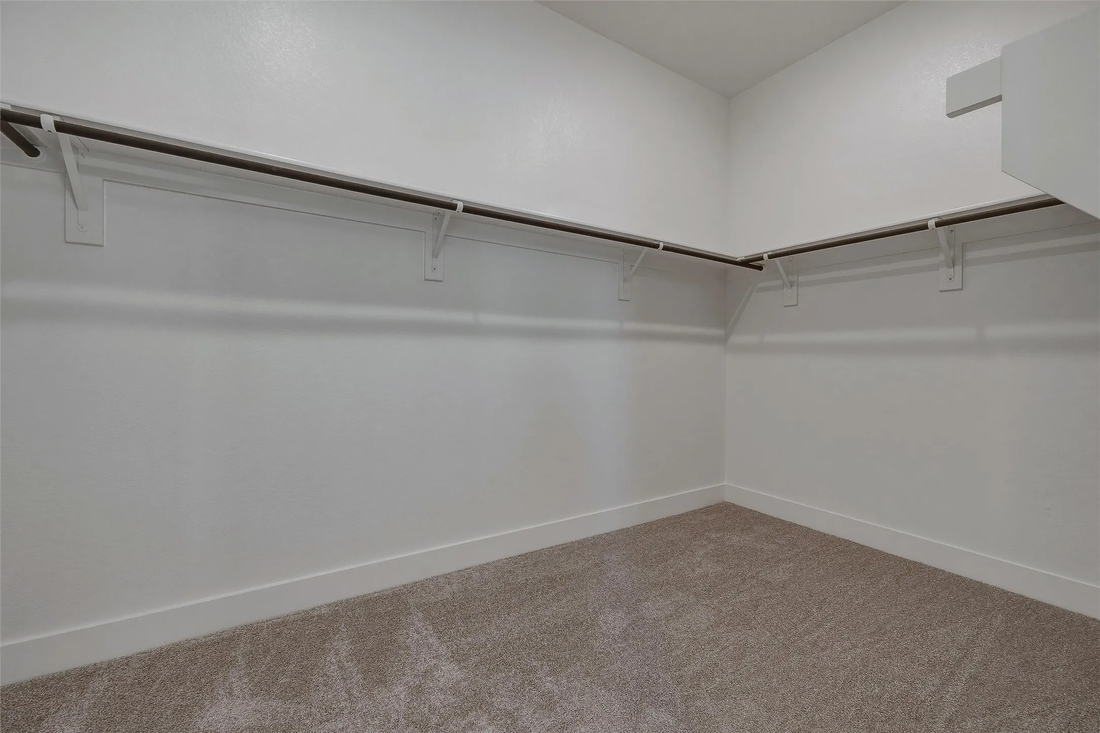 Walk-in closet with carpet flooring and continuous clothing rods
