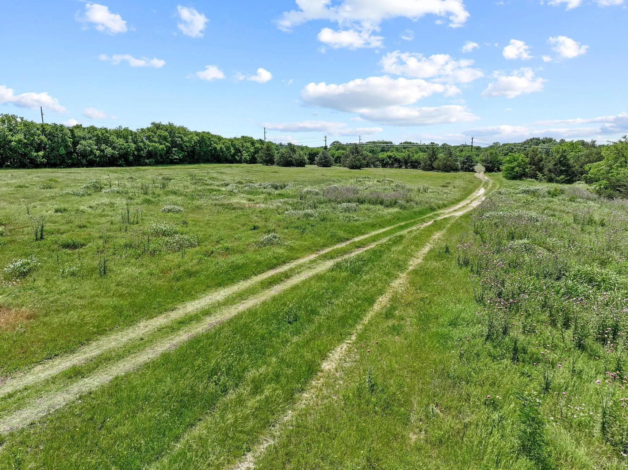 Improved Land For Sale in Grayson County , 747 Vineyard Road, Gunter, Texas 75058, 0, 0, Garage spaces, 0 Sqft, built in 1975, mls#21270370, Real Estate Agent in Gunter, Homes For Sale in Grayson county, Homes For Sale in Gunter, Realtor in Gunter Texas, Real Estate Brokerage Independent Realty Texas, Luminita Cordes Realtor