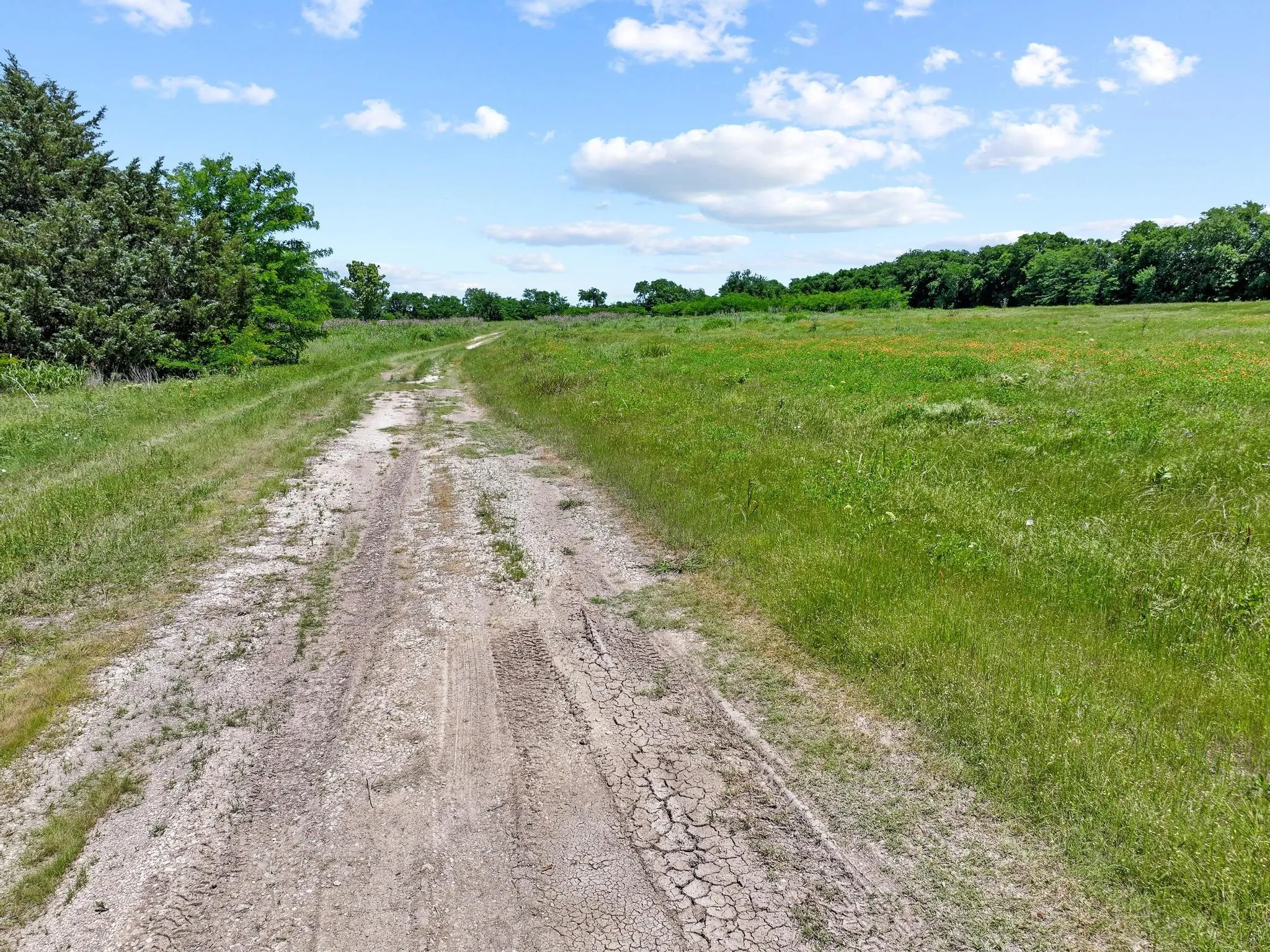 Improved Land For Sale in Grayson County , 747 Vineyard Road, Gunter, Texas 75058, 0, 0, Garage spaces, 0 Sqft, built in 1975, mls#21270370, Real Estate Agent in Gunter, Homes For Sale in Grayson county, Homes For Sale in Gunter, Realtor in Gunter Texas, Real Estate Brokerage Independent Realty Texas, Luminita Cordes Realtor