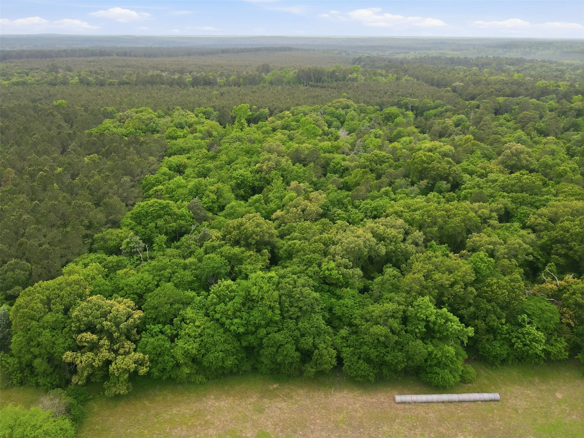 Unimproved Land For Sale in Wood County , 000 County road 3824, Hawkins, Texas 75765, 0, 0, Garage spaces, 0 Sqft, built in 0, Price $694,860, mls#21270361, Real Estate Agent in Hawkins, Homes For Sale in Wood county, Homes For Sale in Hawkins, Realtor in Hawkins Texas, Real Estate Brokerage Independent Realty Texas, Luminita Cordes Realtor