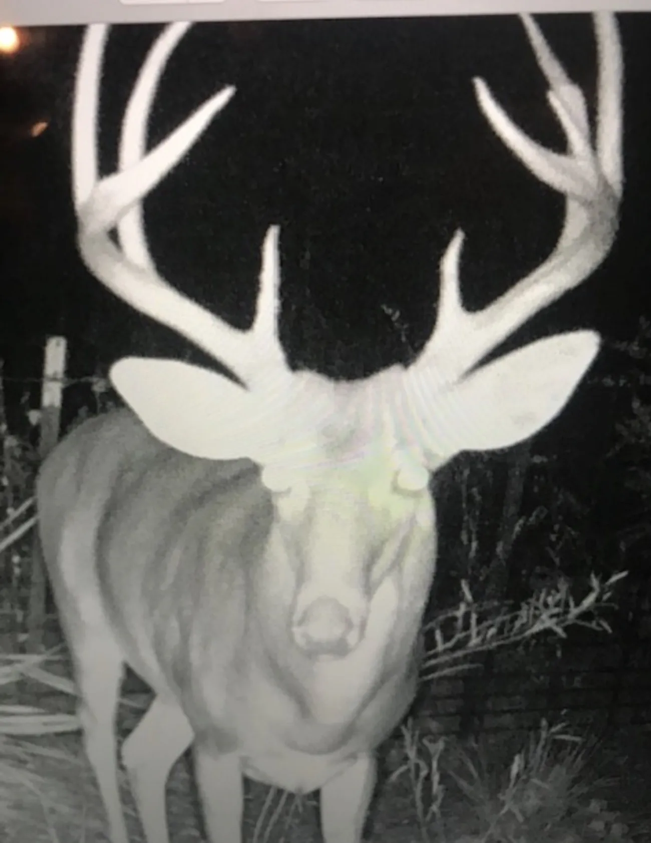 Unimproved Land For Sale in Wood County , 000 County road 3824, Hawkins, Texas 75765, 0, 0, Garage spaces, 0 Sqft, built in 0, Price $694,860, mls#21270361, Real Estate Agent in Hawkins, Homes For Sale in Wood county, Homes For Sale in Hawkins, Realtor in Hawkins Texas, Real Estate Brokerage Independent Realty Texas, Luminita Cordes Realtor