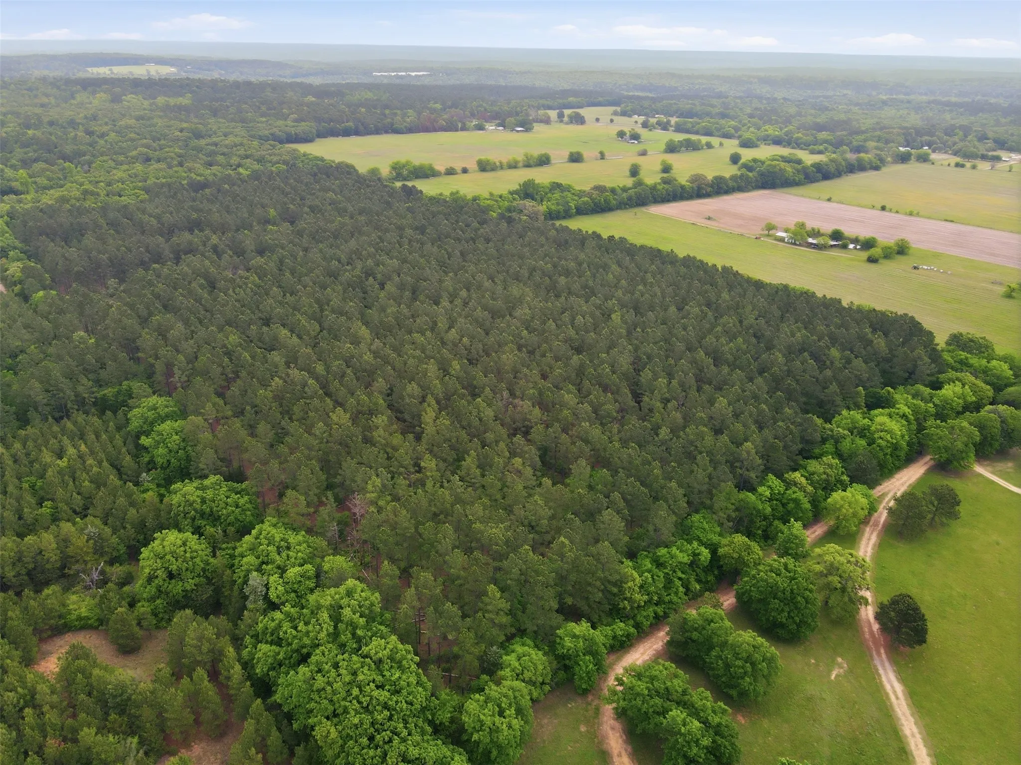 Unimproved Land For Sale in Wood County , 000 County road 3824, Hawkins, Texas 75765, 0, 0, Garage spaces, 0 Sqft, built in 0, Price $694,860, mls#21270361, Real Estate Agent in Hawkins, Homes For Sale in Wood county, Homes For Sale in Hawkins, Realtor in Hawkins Texas, Real Estate Brokerage Independent Realty Texas, Luminita Cordes Realtor