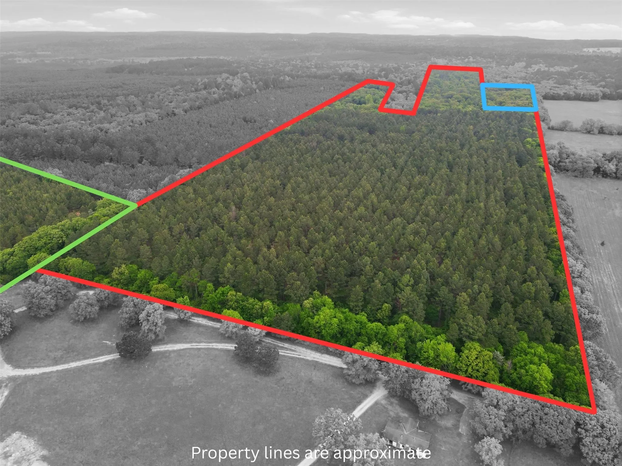 Unimproved Land For Sale in Wood County , 000 County road 3824, Hawkins, Texas 75765, 0, 0, Garage spaces, 0 Sqft, built in 0, Price $694,860, mls#21270361, Real Estate Agent in Hawkins, Homes For Sale in Wood county, Homes For Sale in Hawkins, Realtor in Hawkins Texas, Real Estate Brokerage Independent Realty Texas, Luminita Cordes Realtor