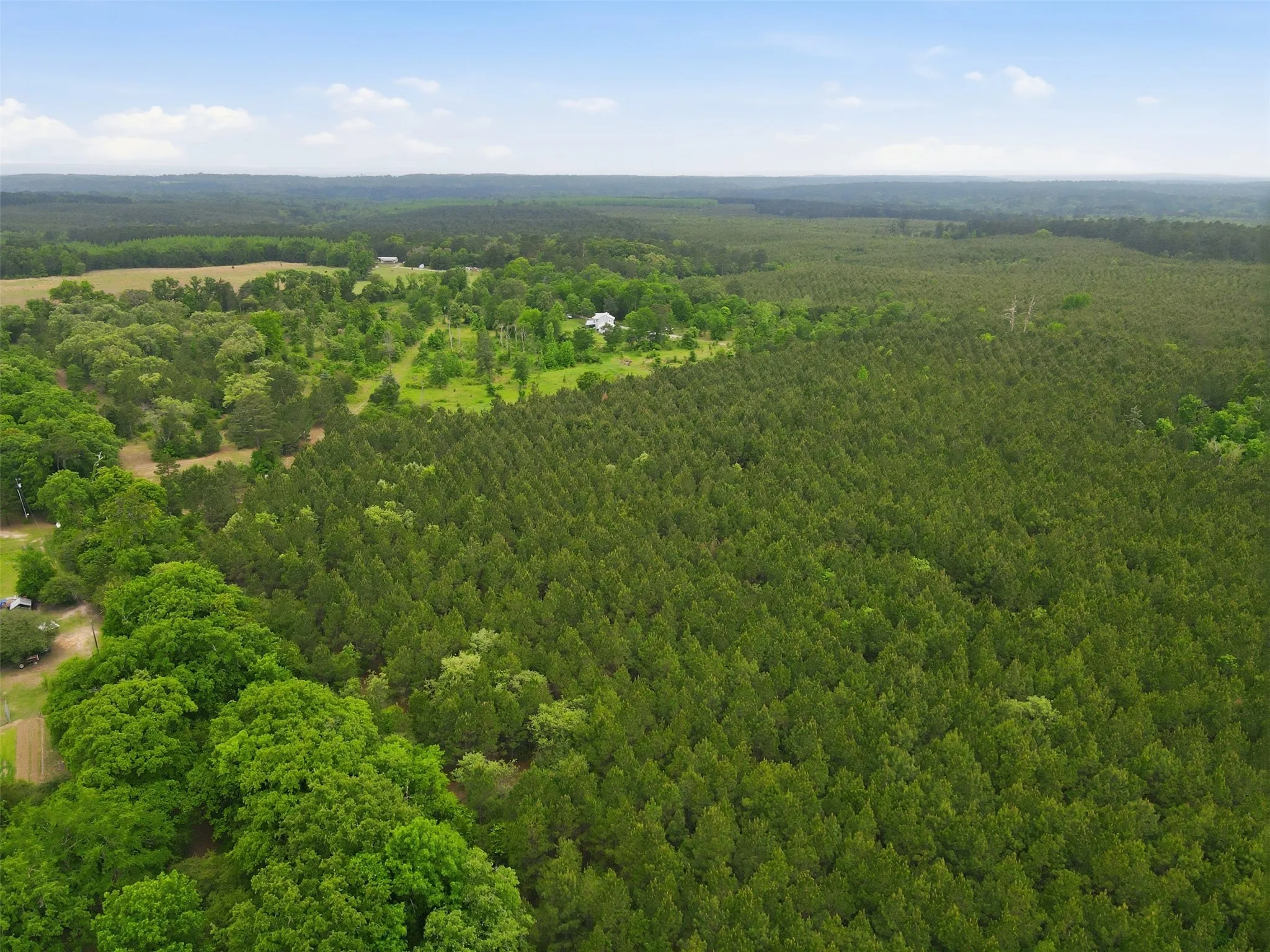 Unimproved Land For Sale in Wood County , 000 County road 3824, Hawkins, Texas 75765, 0, 0, Garage spaces, 0 Sqft, built in 0, Price $694,860, mls#21270361, Real Estate Agent in Hawkins, Homes For Sale in Wood county, Homes For Sale in Hawkins, Realtor in Hawkins Texas, Real Estate Brokerage Independent Realty Texas, Luminita Cordes Realtor