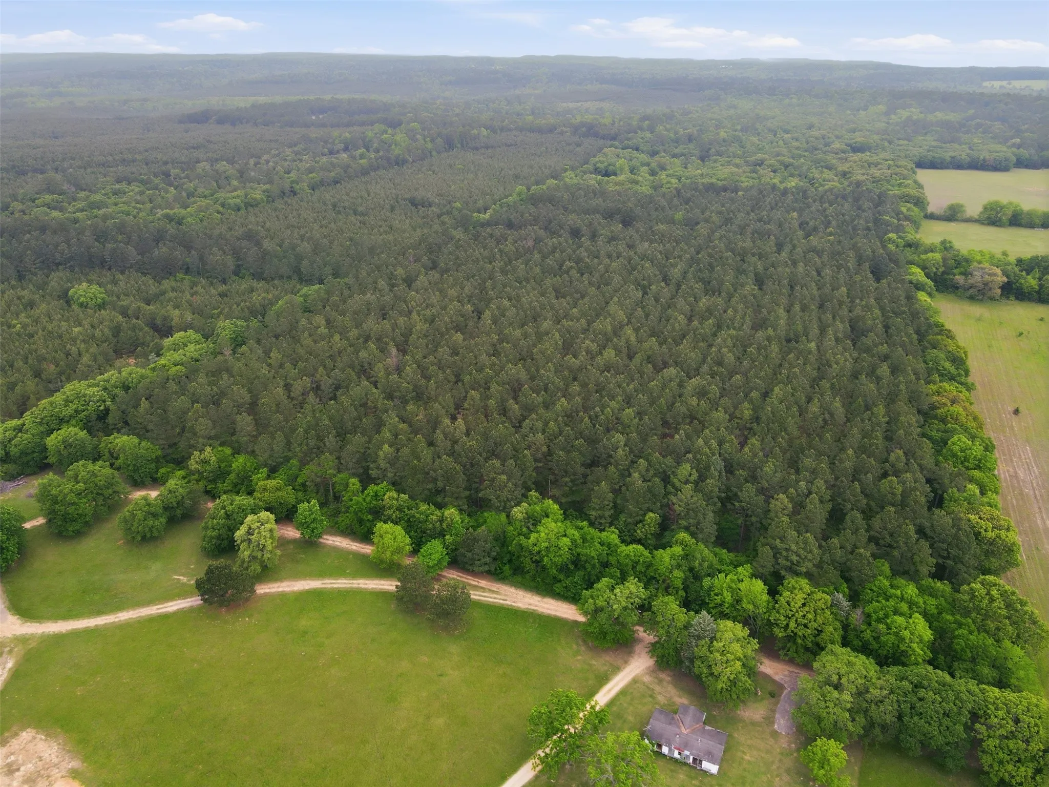 Unimproved Land For Sale in Wood County , 000 County road 3824, Hawkins, Texas 75765, 0, 0, Garage spaces, 0 Sqft, built in 0, Price $694,860, mls#21270361, Real Estate Agent in Hawkins, Homes For Sale in Wood county, Homes For Sale in Hawkins, Realtor in Hawkins Texas, Real Estate Brokerage Independent Realty Texas, Luminita Cordes Realtor