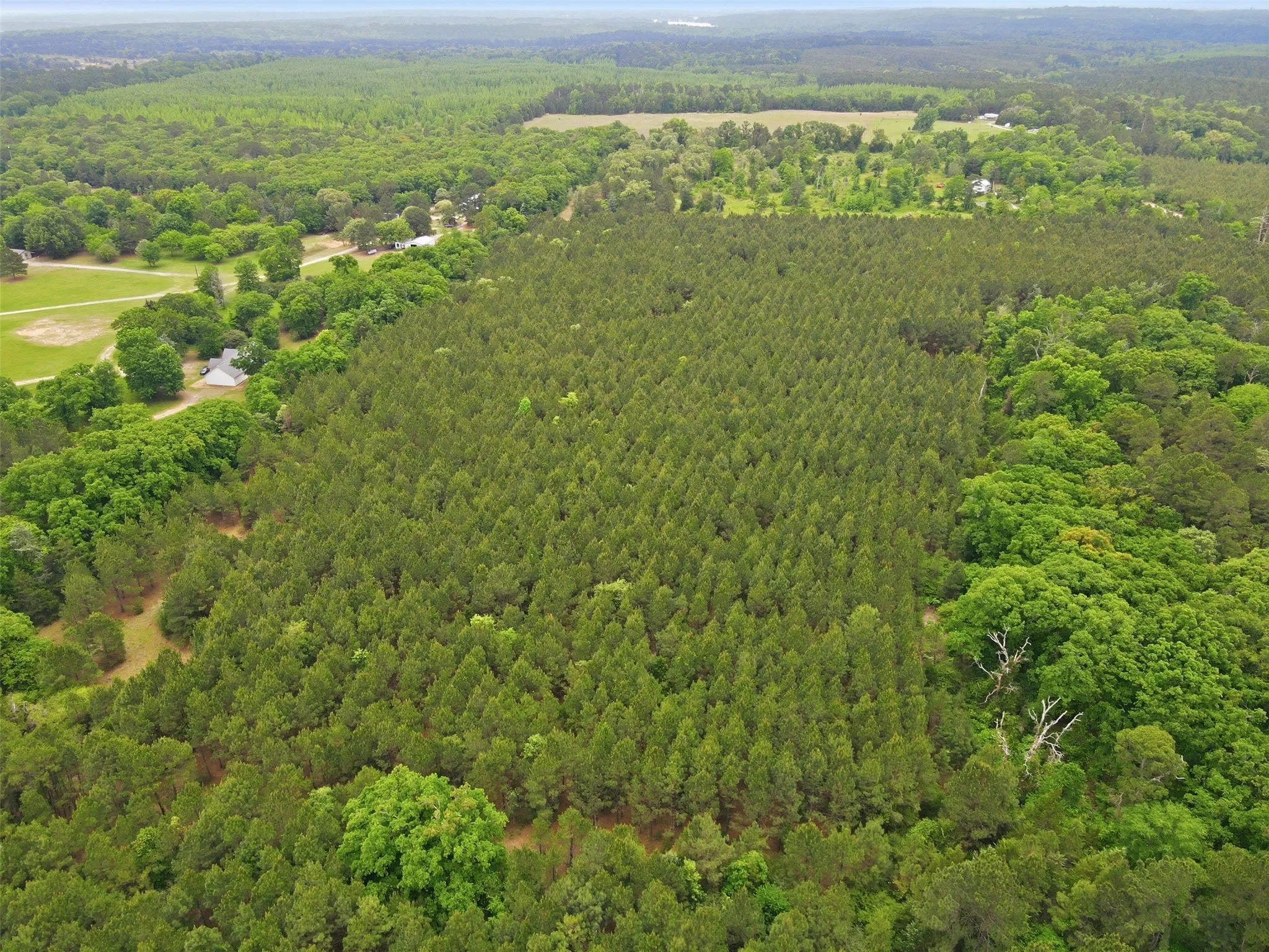 Unimproved Land For Sale in Wood County , 000 County road 3824, Hawkins, Texas 75765, 0, 0, Garage spaces, 0 Sqft, built in 0, Price $694,860, mls#21270361, Real Estate Agent in Hawkins, Homes For Sale in Wood county, Homes For Sale in Hawkins, Realtor in Hawkins Texas, Real Estate Brokerage Independent Realty Texas, Luminita Cordes Realtor