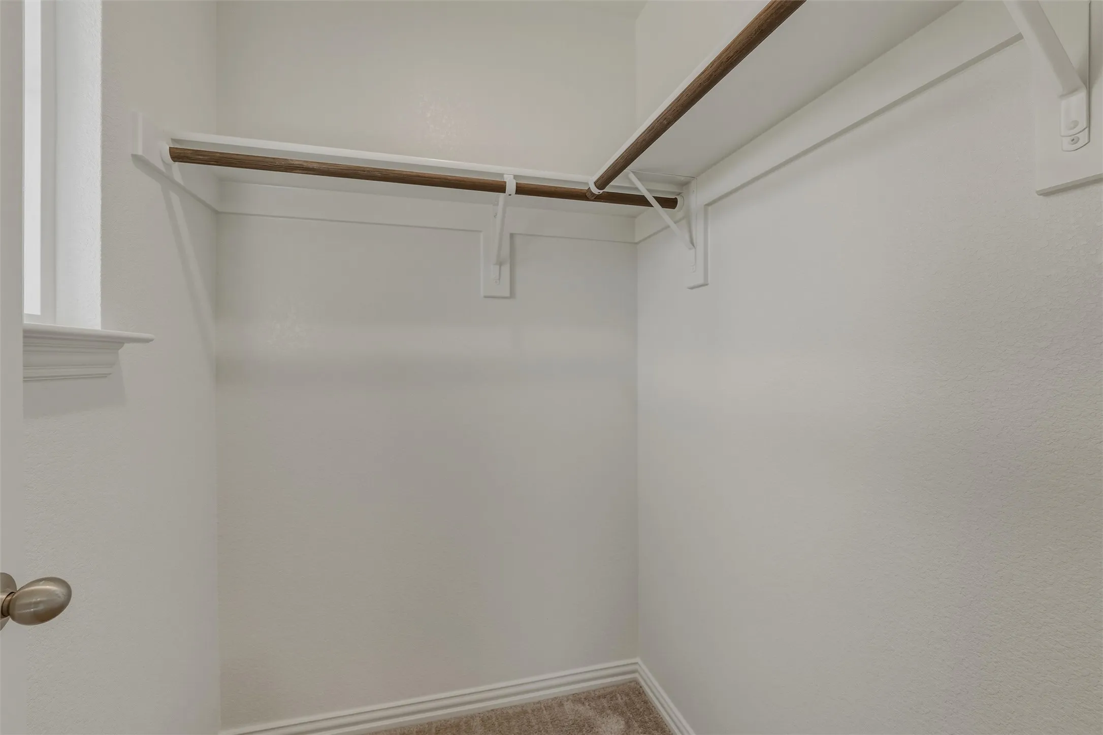 Walk-in closet featuring light-colored carpet, white baseboards, and a window with white trim