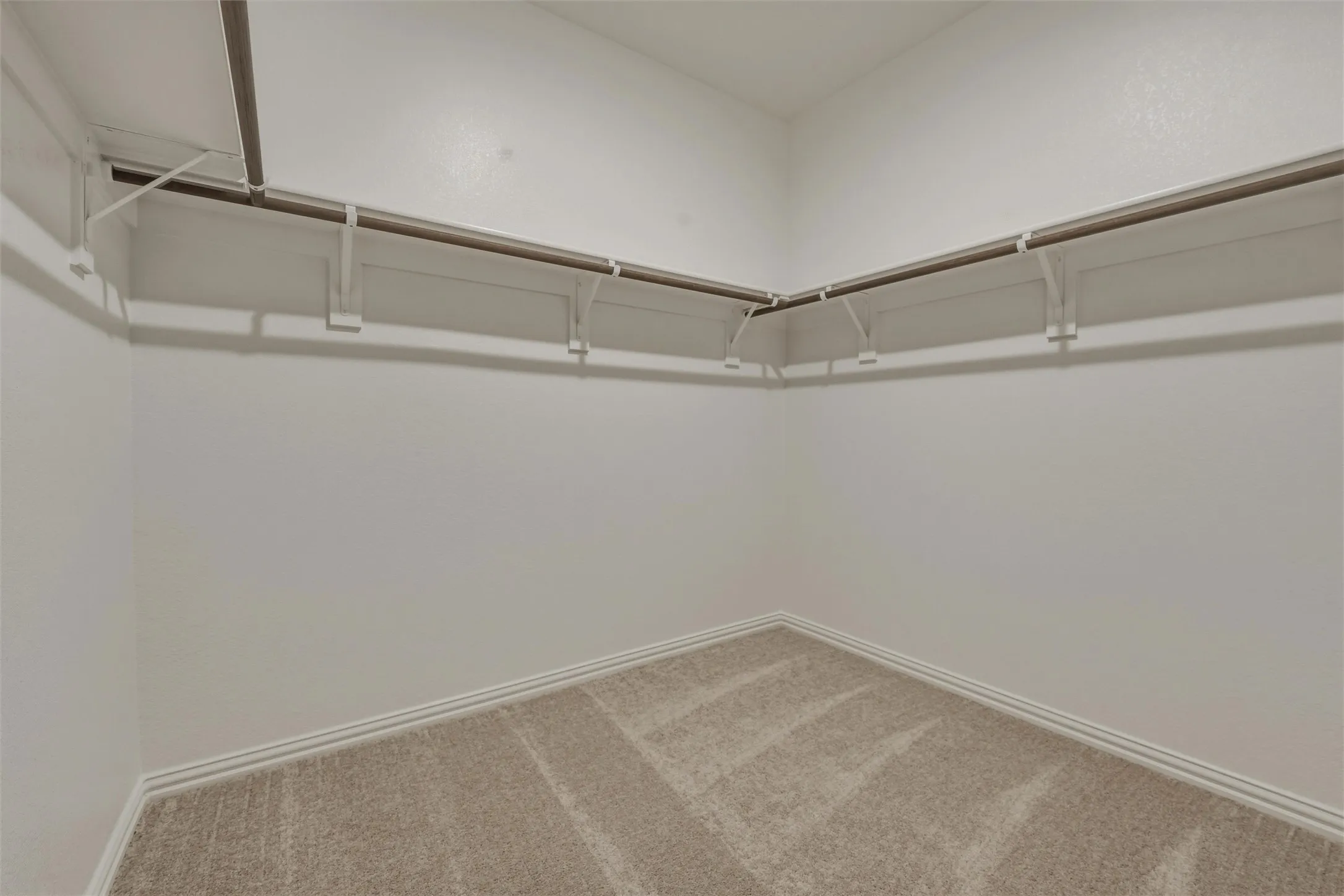 Walk-in closet featuring light-toned carpeting, white baseboards, and built-in shelving with hanging rods