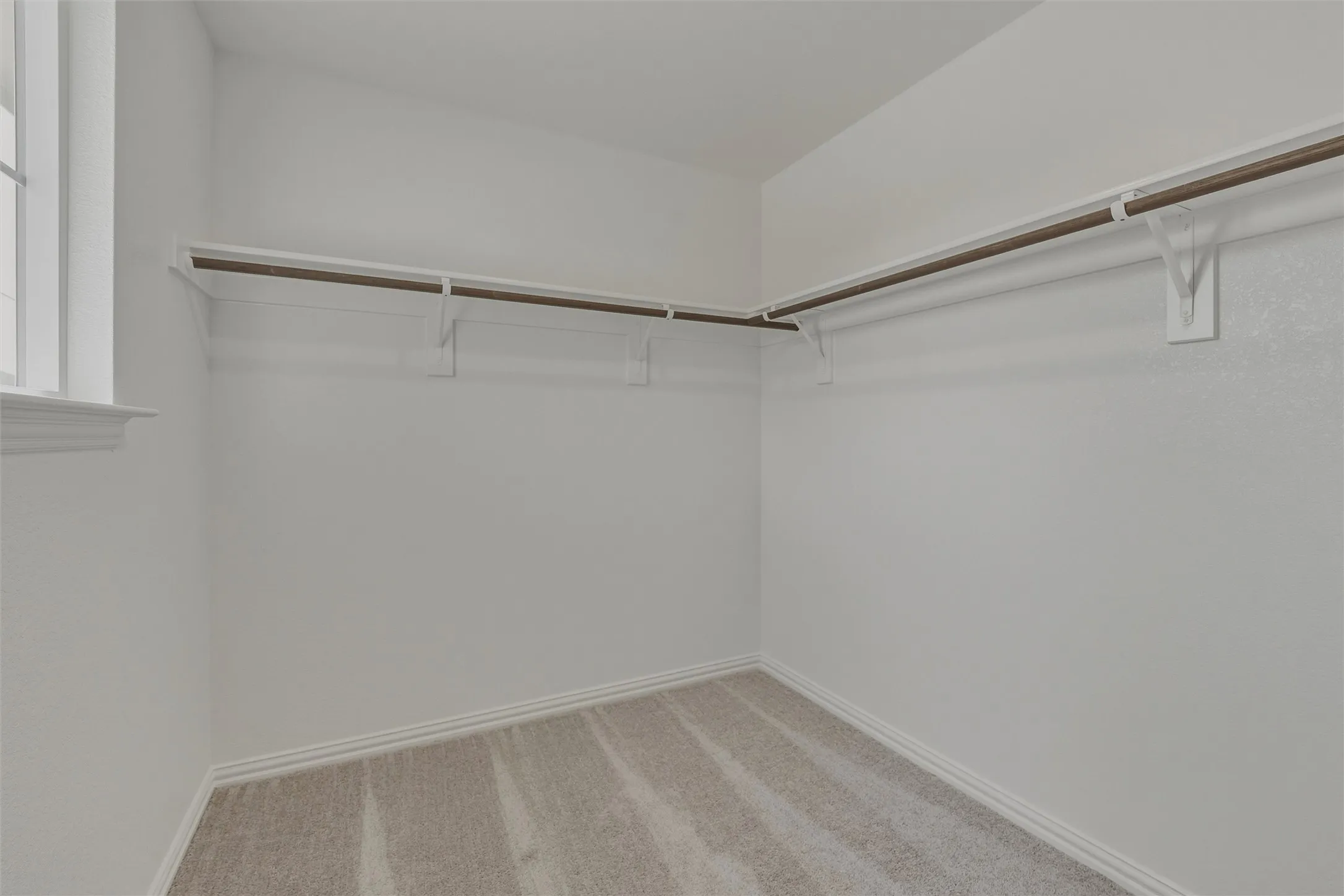 Walk-in closet featuring light gray carpeting, white walls, white trim, a window with white casing, and wood-finish hanging rods with white supports