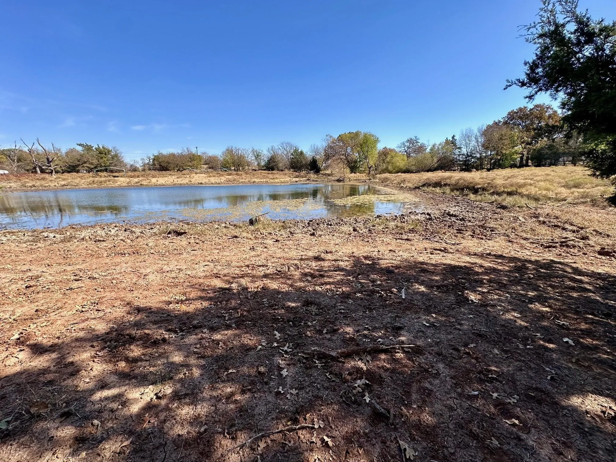 Unimproved Land For Sale in Grayson County , TBD PINK HILL/State 56 E Highway, Bells, Texas 75414, 0, 0, Garage spaces, 0 Sqft, built in 0, mls#21261143, Real Estate Agent in Bells, Homes For Sale in Grayson county, Homes For Sale in Bells, Realtor in Bells Texas, Real Estate Brokerage Independent Realty Texas, Luminita Cordes Realtor