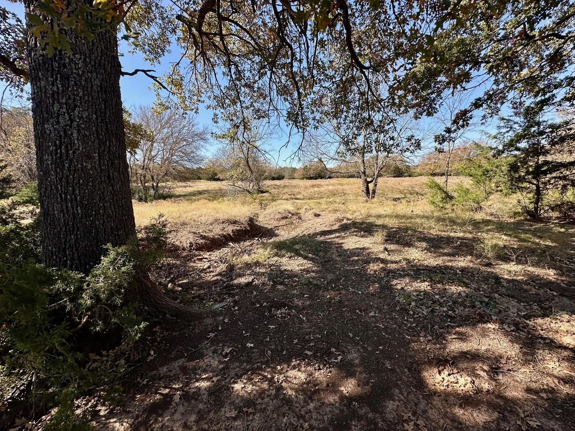 Unimproved Land For Sale in Grayson County , TBD PINK HILL/State 56 E Highway, Bells, Texas 75414, 0, 0, Garage spaces, 0 Sqft, built in 0, mls#21261143, Real Estate Agent in Bells, Homes For Sale in Grayson county, Homes For Sale in Bells, Realtor in Bells Texas, Real Estate Brokerage Independent Realty Texas, Luminita Cordes Realtor