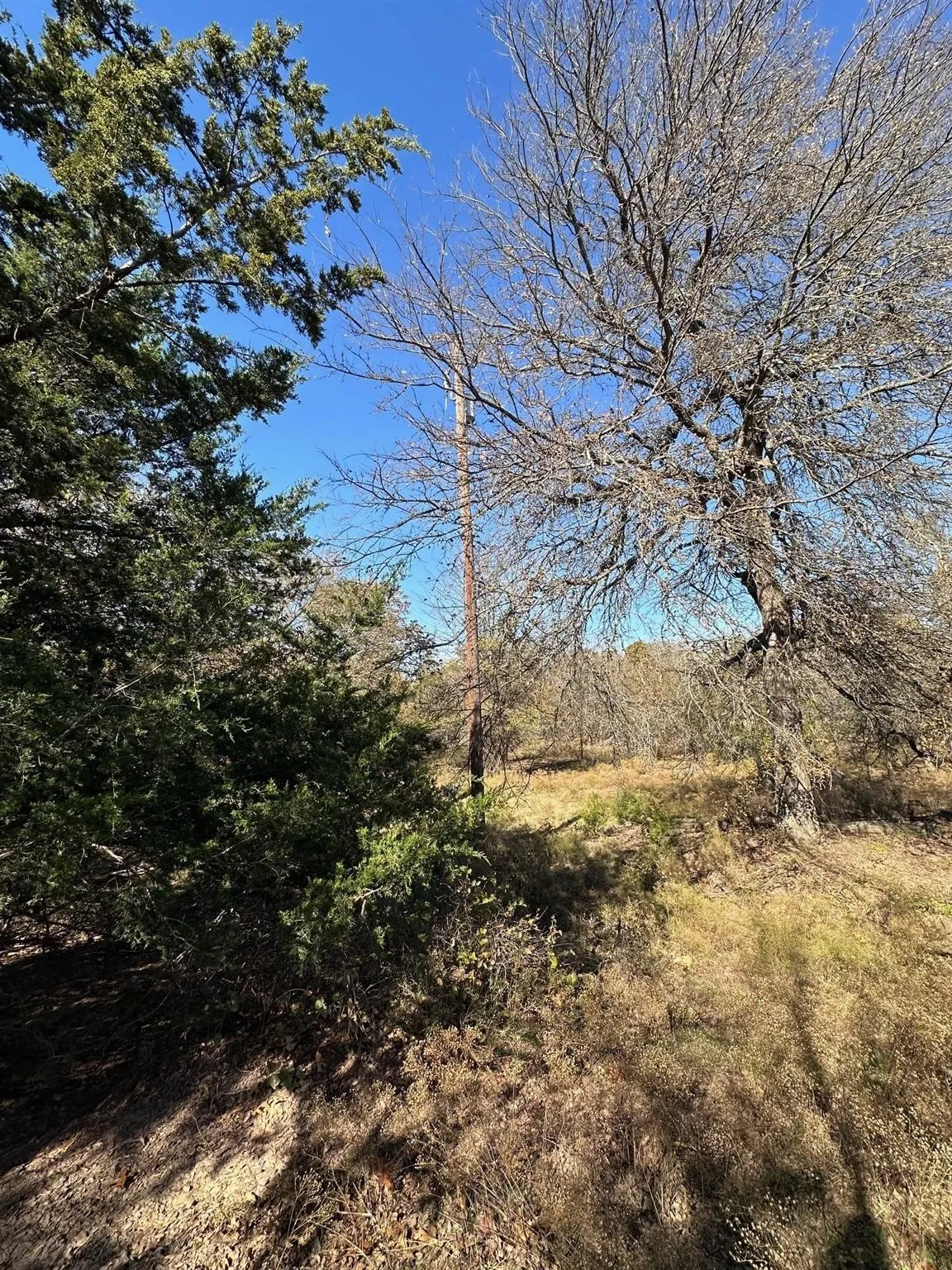 Unimproved Land For Sale in Grayson County , TBD PINK HILL/State 56 E Highway, Bells, Texas 75414, 0, 0, Garage spaces, 0 Sqft, built in 0, mls#21261143, Real Estate Agent in Bells, Homes For Sale in Grayson county, Homes For Sale in Bells, Realtor in Bells Texas, Real Estate Brokerage Independent Realty Texas, Luminita Cordes Realtor