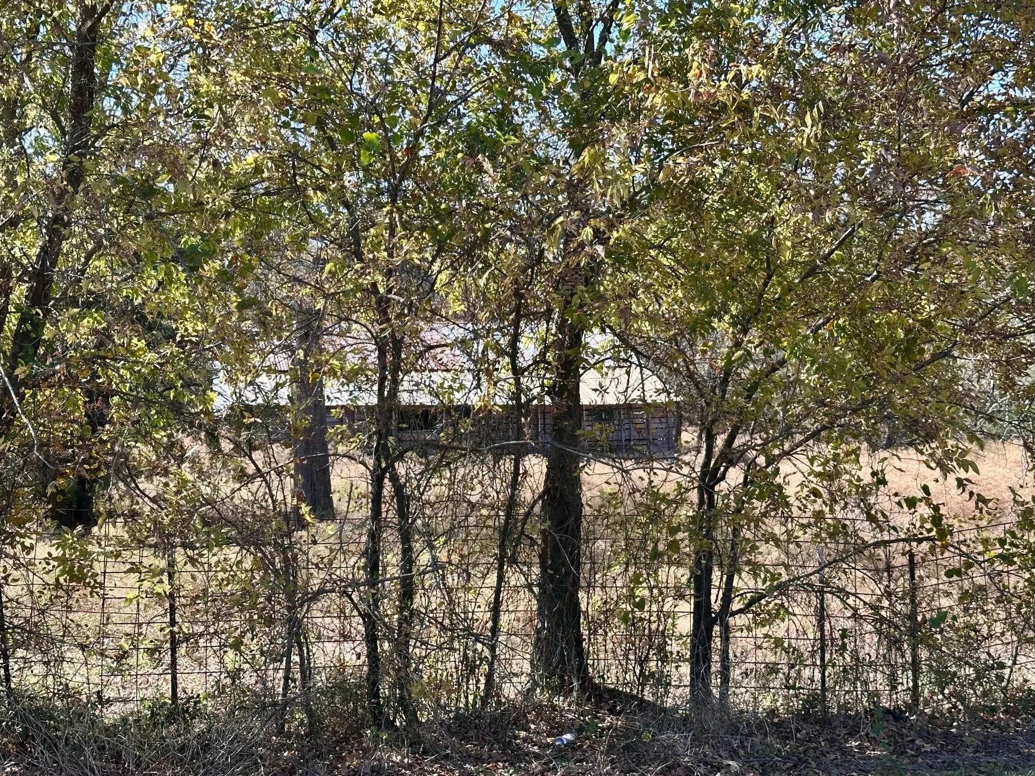 Unimproved Land For Sale in Grayson County , TBD PINK HILL/State 56 E Highway, Bells, Texas 75414, 0, 0, Garage spaces, 0 Sqft, built in 0, mls#21261143, Real Estate Agent in Bells, Homes For Sale in Grayson county, Homes For Sale in Bells, Realtor in Bells Texas, Real Estate Brokerage Independent Realty Texas, Luminita Cordes Realtor