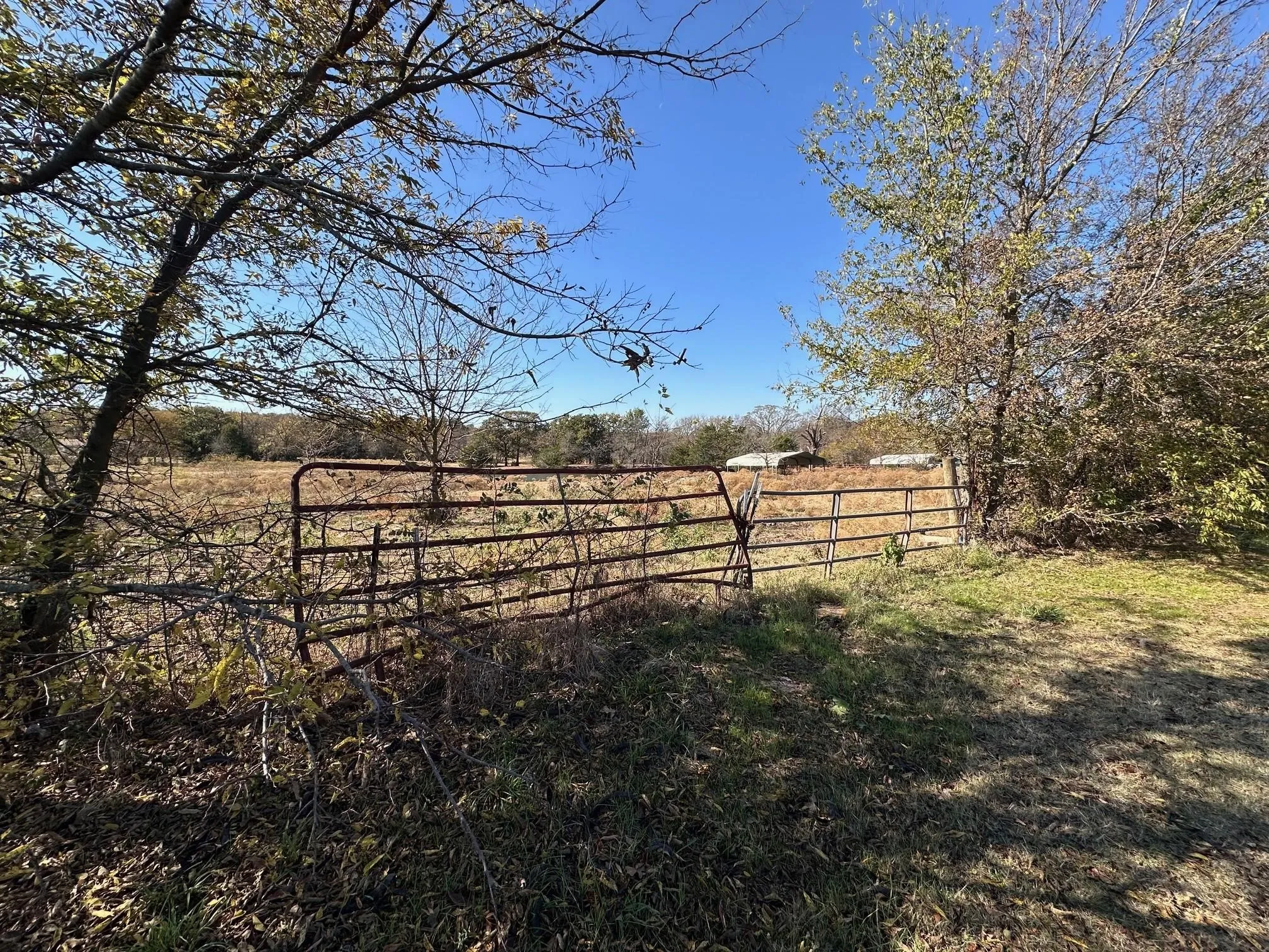 Unimproved Land For Sale in Grayson County , TBD PINK HILL/State 56 E Highway, Bells, Texas 75414, 0, 0, Garage spaces, 0 Sqft, built in 0, mls#21261143, Real Estate Agent in Bells, Homes For Sale in Grayson county, Homes For Sale in Bells, Realtor in Bells Texas, Real Estate Brokerage Independent Realty Texas, Luminita Cordes Realtor