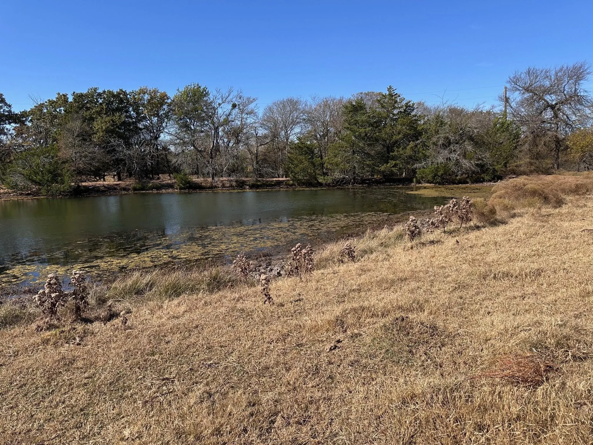 Unimproved Land For Sale in Grayson County , TBD PINK HILL/State 56 E Highway, Bells, Texas 75414, 0, 0, Garage spaces, 0 Sqft, built in 0, mls#21261143, Real Estate Agent in Bells, Homes For Sale in Grayson county, Homes For Sale in Bells, Realtor in Bells Texas, Real Estate Brokerage Independent Realty Texas, Luminita Cordes Realtor