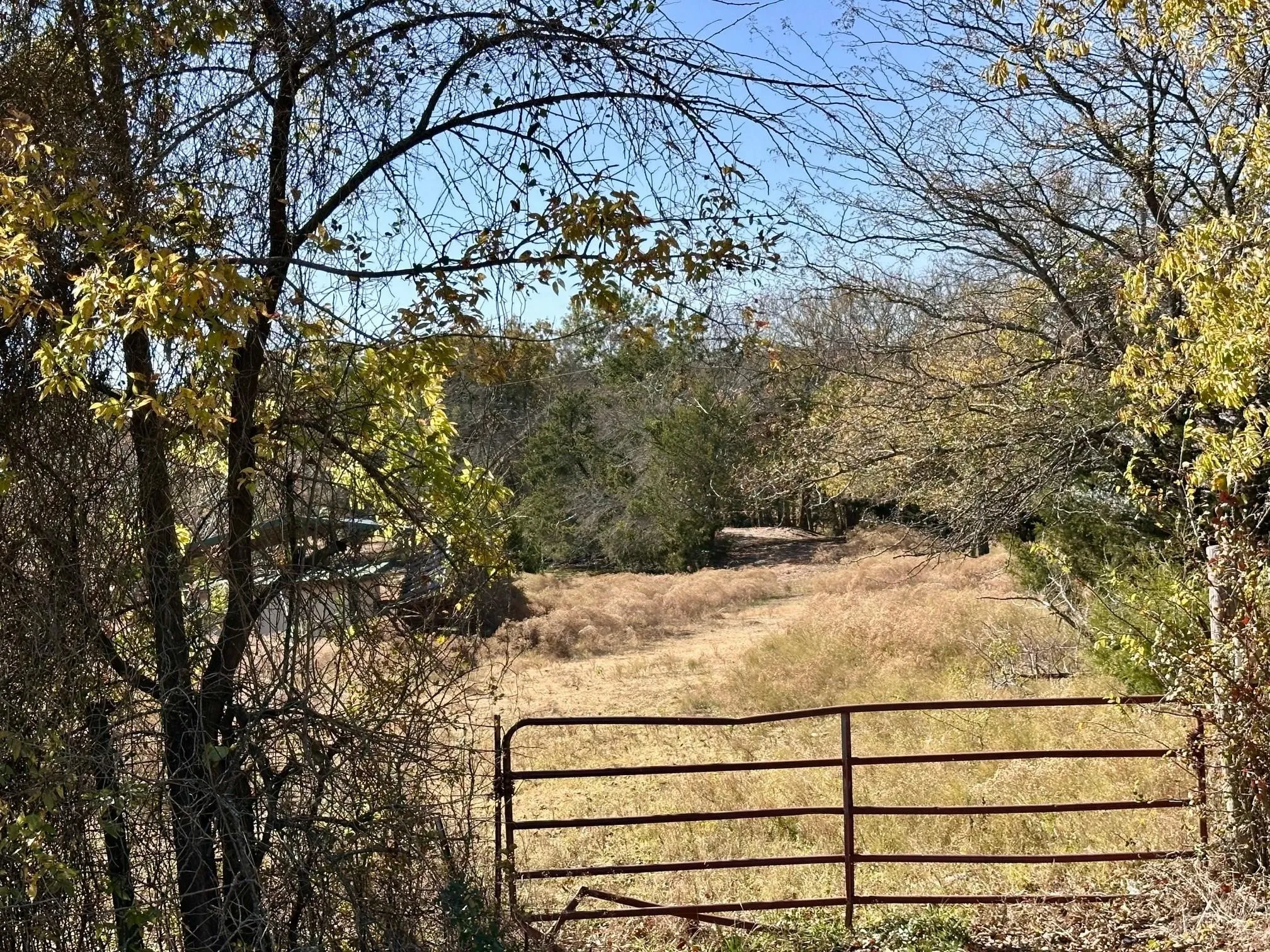 Unimproved Land For Sale in Grayson County , TBD PINK HILL/State 56 E Highway, Bells, Texas 75414, 0, 0, Garage spaces, 0 Sqft, built in 0, mls#21261143, Real Estate Agent in Bells, Homes For Sale in Grayson county, Homes For Sale in Bells, Realtor in Bells Texas, Real Estate Brokerage Independent Realty Texas, Luminita Cordes Realtor