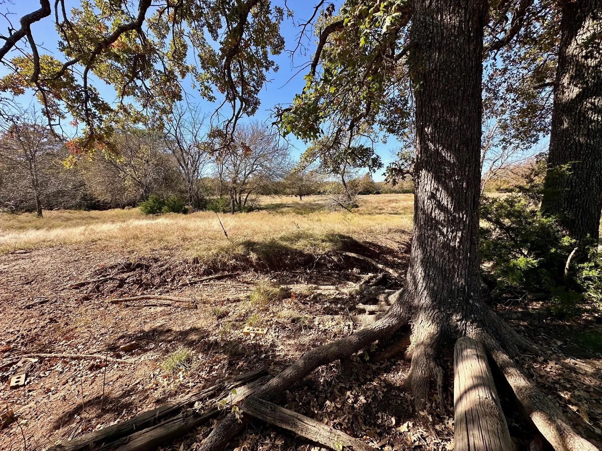 Unimproved Land For Sale in Grayson County , TBD PINK HILL/State 56 E Highway, Bells, Texas 75414, 0, 0, Garage spaces, 0 Sqft, built in 0, mls#21261143, Real Estate Agent in Bells, Homes For Sale in Grayson county, Homes For Sale in Bells, Realtor in Bells Texas, Real Estate Brokerage Independent Realty Texas, Luminita Cordes Realtor