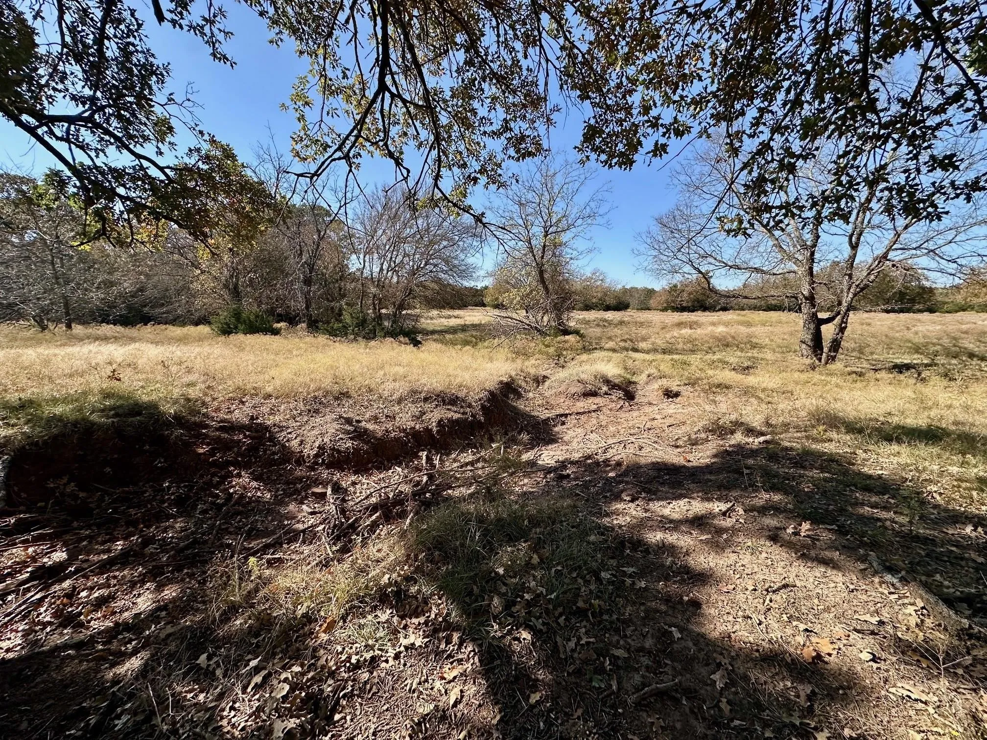 Unimproved Land For Sale in Grayson County , TBD PINK HILL/State 56 E Highway, Bells, Texas 75414, 0, 0, Garage spaces, 0 Sqft, built in 0, mls#21261143, Real Estate Agent in Bells, Homes For Sale in Grayson county, Homes For Sale in Bells, Realtor in Bells Texas, Real Estate Brokerage Independent Realty Texas, Luminita Cordes Realtor