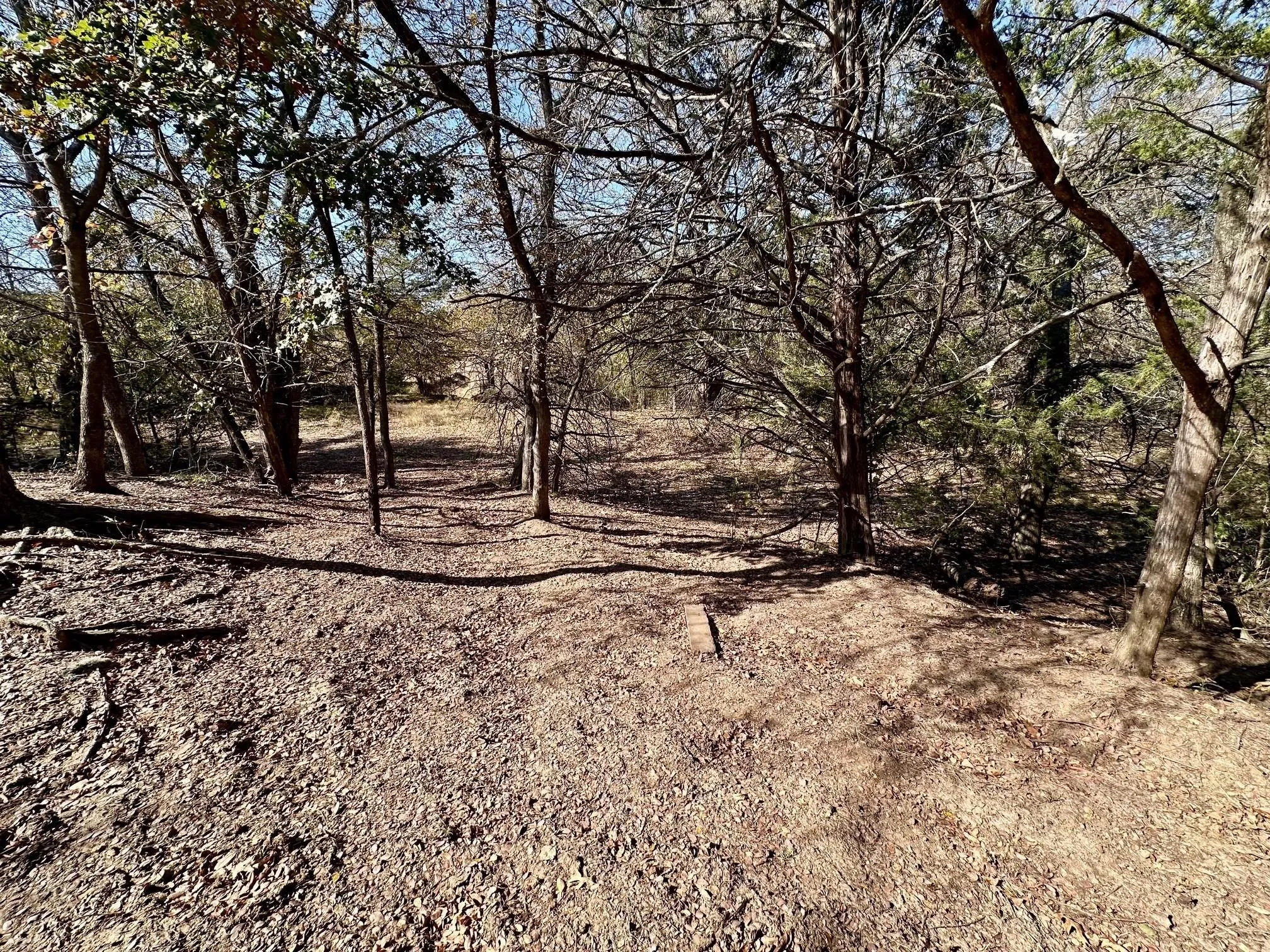 Unimproved Land For Sale in Grayson County , TBD PINK HILL/State 56 E Highway, Bells, Texas 75414, 0, 0, Garage spaces, 0 Sqft, built in 0, mls#21261143, Real Estate Agent in Bells, Homes For Sale in Grayson county, Homes For Sale in Bells, Realtor in Bells Texas, Real Estate Brokerage Independent Realty Texas, Luminita Cordes Realtor