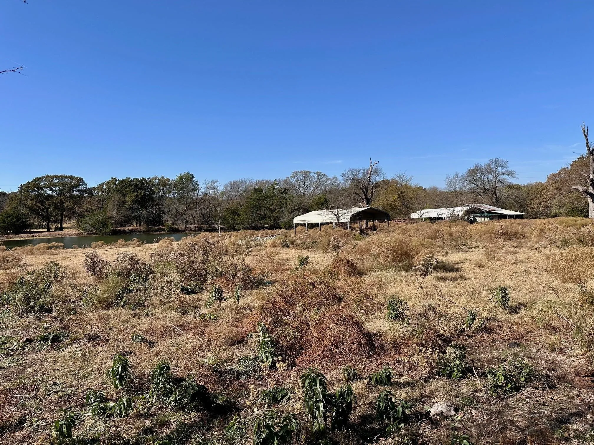 Unimproved Land For Sale in Grayson County , TBD PINK HILL/State 56 E Highway, Bells, Texas 75414, 0, 0, Garage spaces, 0 Sqft, built in 0, mls#21261143, Real Estate Agent in Bells, Homes For Sale in Grayson county, Homes For Sale in Bells, Realtor in Bells Texas, Real Estate Brokerage Independent Realty Texas, Luminita Cordes Realtor