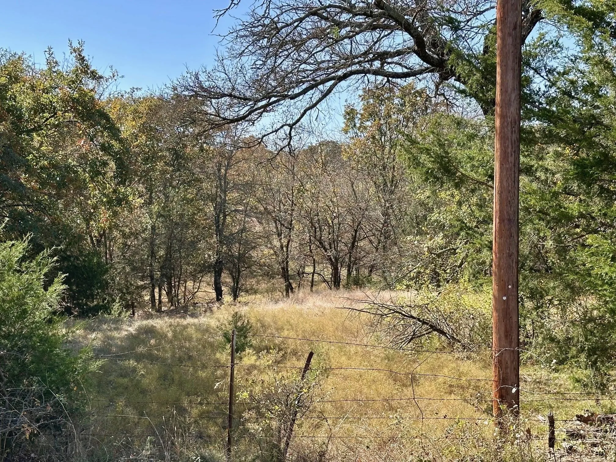 Unimproved Land For Sale in Grayson County , TBD PINK HILL/State 56 E Highway, Bells, Texas 75414, 0, 0, Garage spaces, 0 Sqft, built in 0, mls#21261143, Real Estate Agent in Bells, Homes For Sale in Grayson county, Homes For Sale in Bells, Realtor in Bells Texas, Real Estate Brokerage Independent Realty Texas, Luminita Cordes Realtor