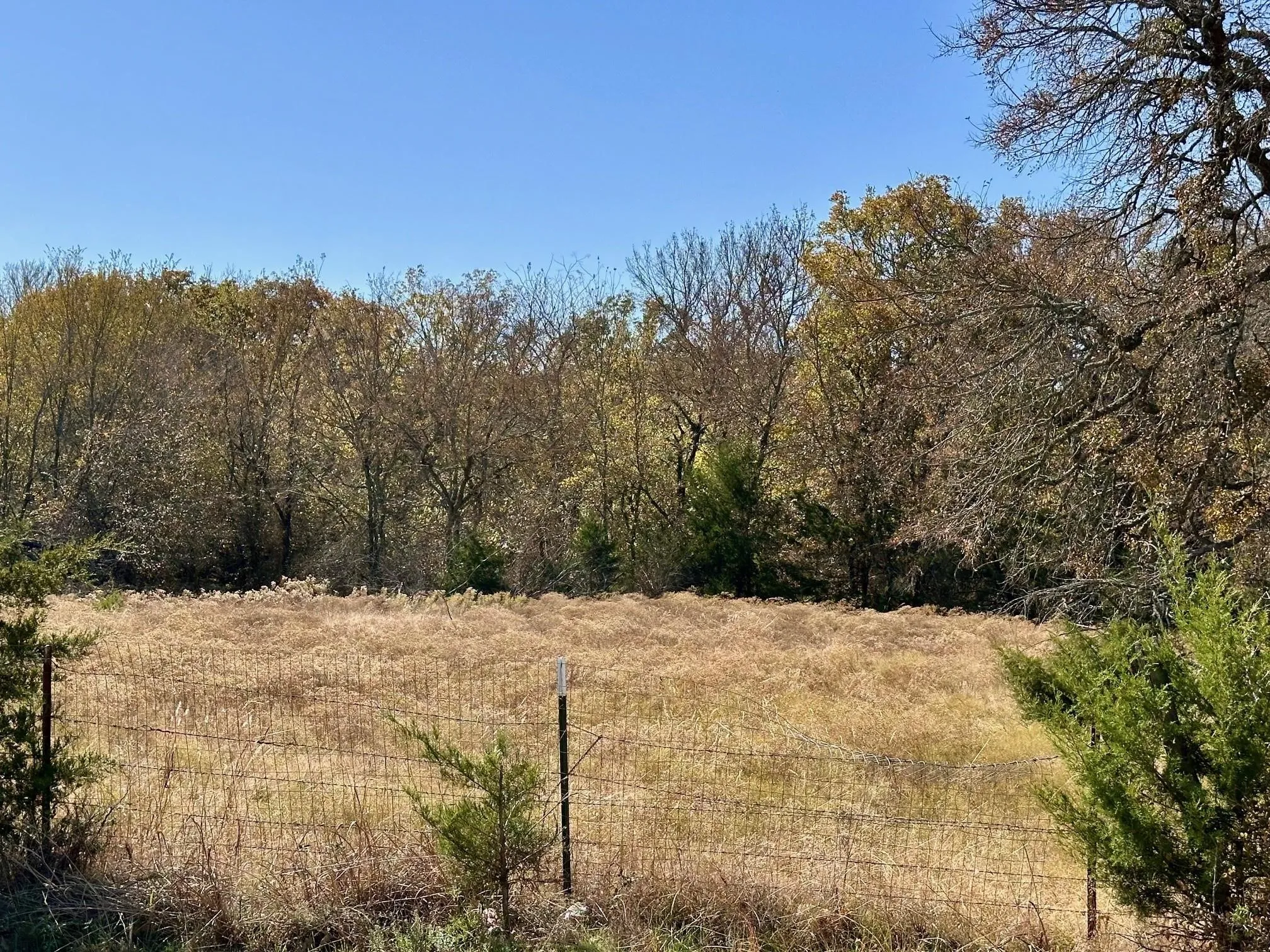 Unimproved Land For Sale in Grayson County , TBD PINK HILL/State 56 E Highway, Bells, Texas 75414, 0, 0, Garage spaces, 0 Sqft, built in 0, mls#21261143, Real Estate Agent in Bells, Homes For Sale in Grayson county, Homes For Sale in Bells, Realtor in Bells Texas, Real Estate Brokerage Independent Realty Texas, Luminita Cordes Realtor