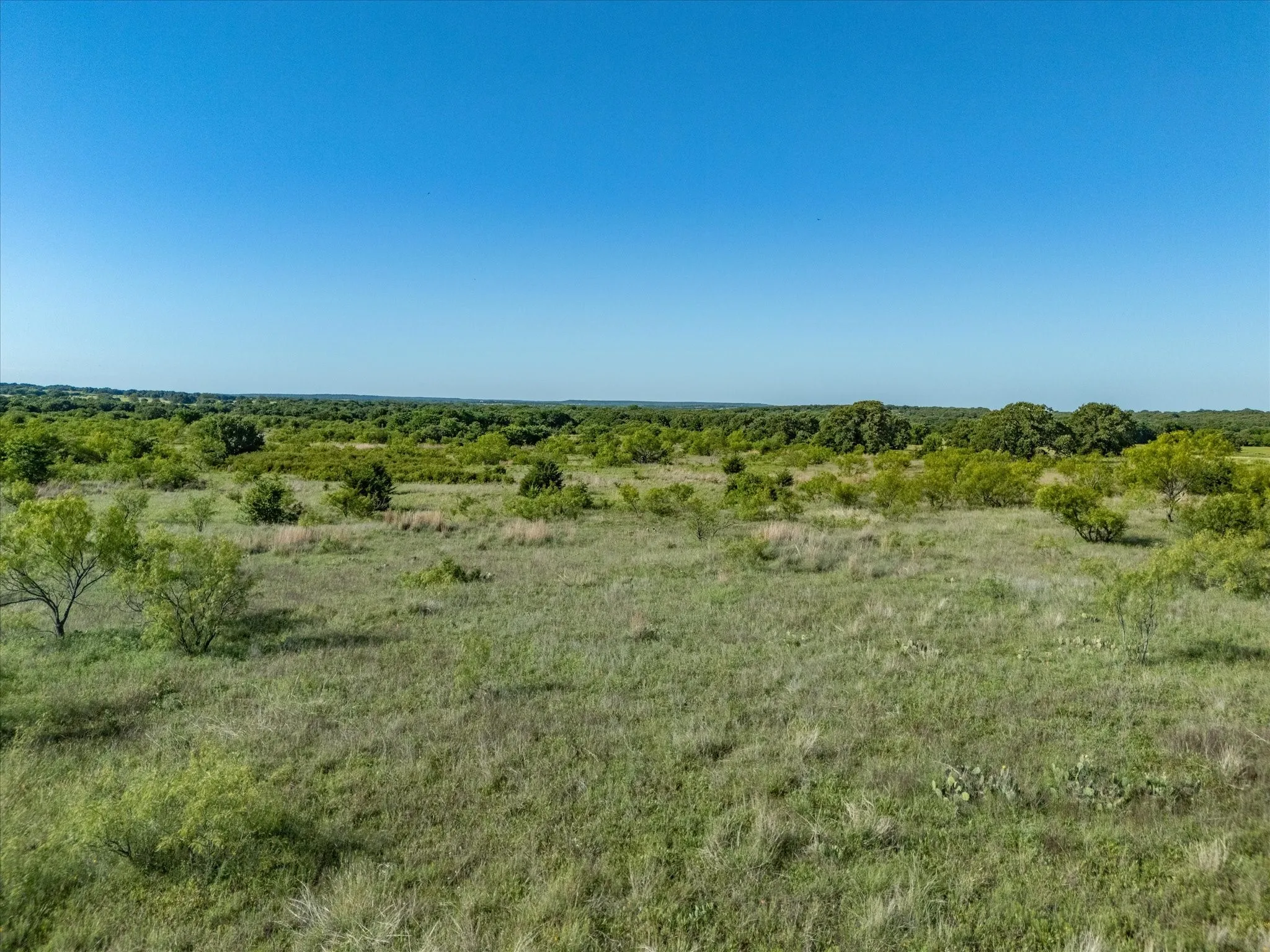 Unimproved Land For Sale in Montague County , 0 W Hwy 82, Nocona, Texas 76255, 0, 0, Garage spaces, 0 Sqft, built in 0, mls#21268383, Real Estate Agent in Nocona, Homes For Sale in Montague county, Homes For Sale in Nocona, Realtor in Nocona Texas, Real Estate Brokerage Independent Realty Texas, Luminita Cordes Realtor