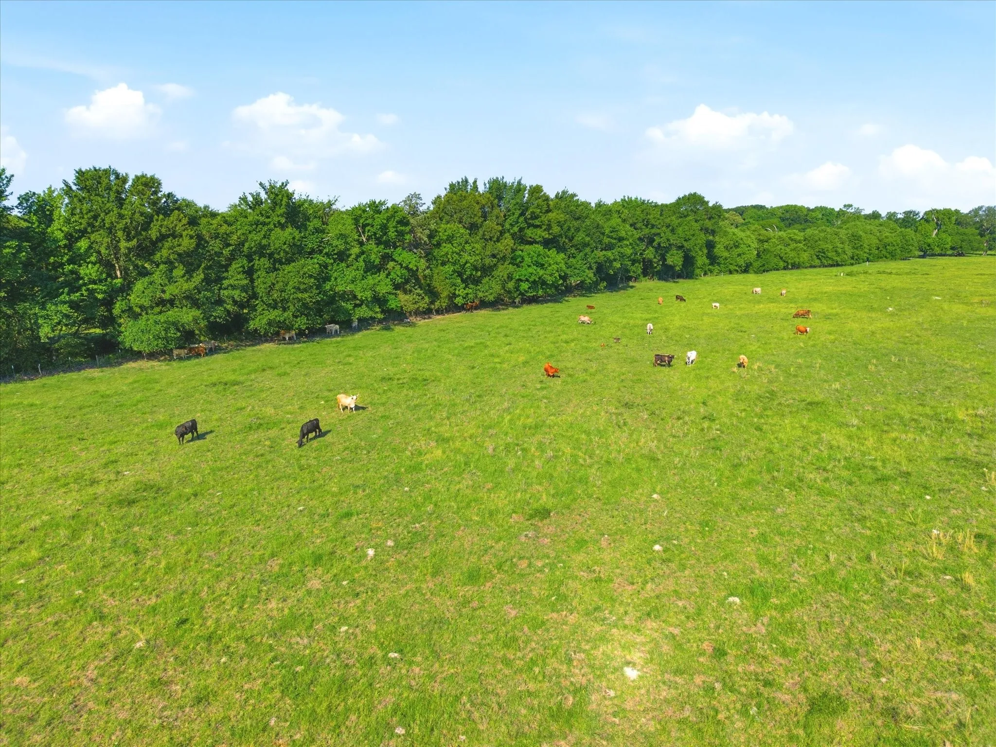 Improved Land For Sale in Van Zandt County , TBD Farm to Market 1995, Van, Texas 75790, 0, 0, Garage spaces, 0 Sqft, built in 0, mls#21261913, Real Estate Agent in Van, Homes For Sale in Van Zandt county, Homes For Sale in Van, Realtor in Van Texas, Real Estate Brokerage Independent Realty Texas, Luminita Cordes Realtor