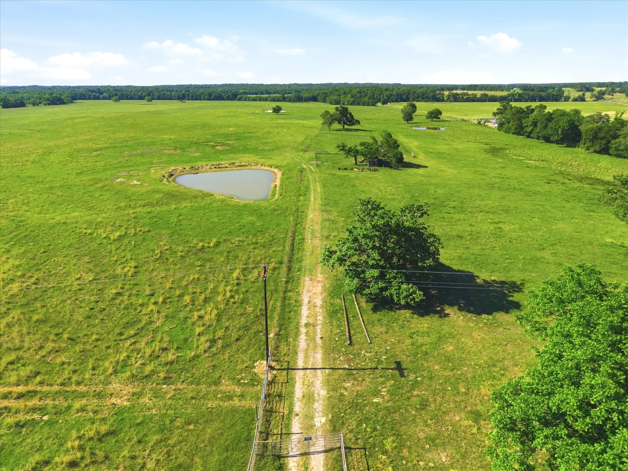 Improved Land For Sale in Van Zandt County , TBD Farm to Market 1995, Van, Texas 75790, 0, 0, Garage spaces, 0 Sqft, built in 0, mls#21261913, Real Estate Agent in Van, Homes For Sale in Van Zandt county, Homes For Sale in Van, Realtor in Van Texas, Real Estate Brokerage Independent Realty Texas, Luminita Cordes Realtor