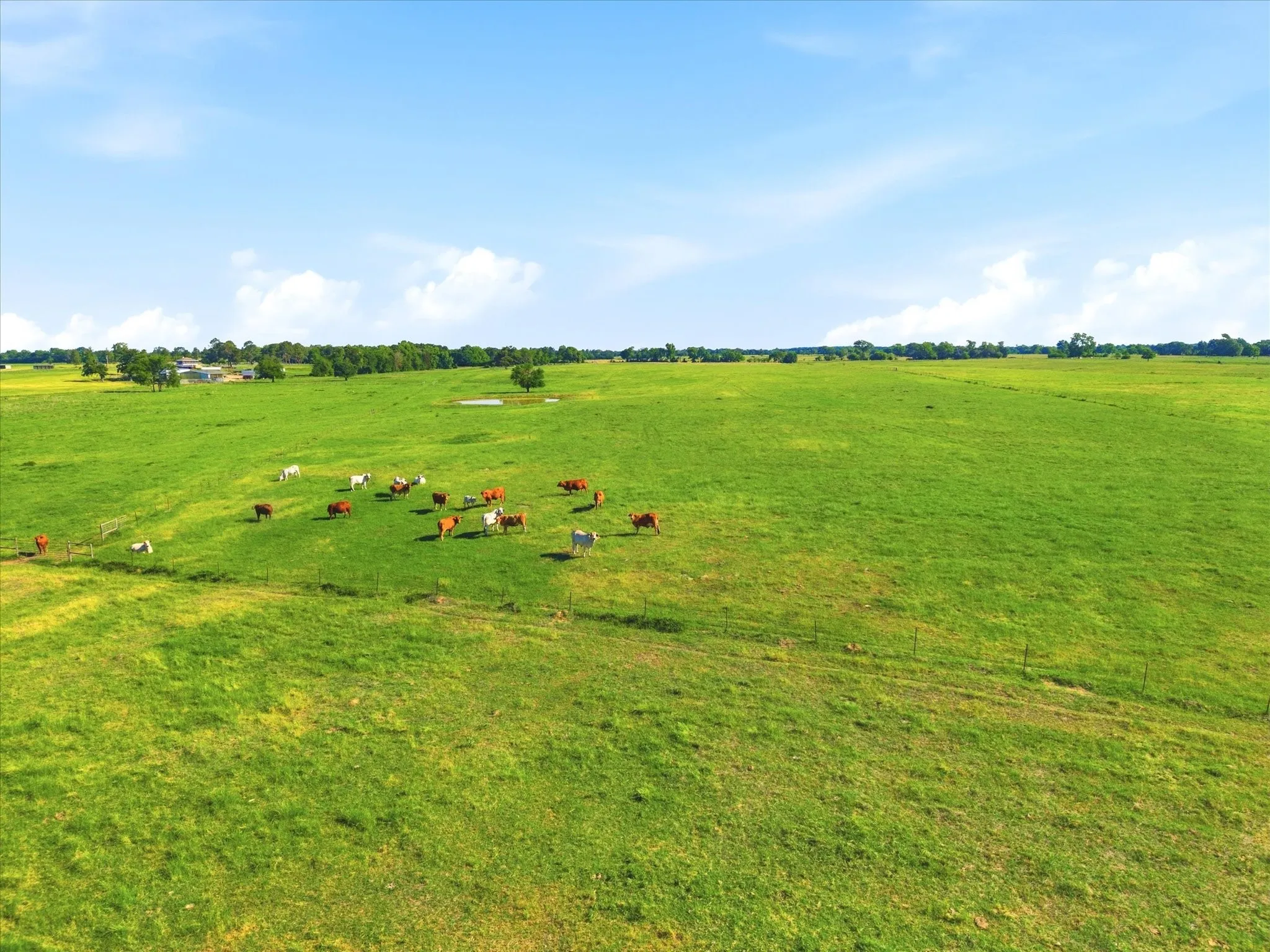 Improved Land For Sale in Van Zandt County , TBD Farm to Market 1995, Van, Texas 75790, 0, 0, Garage spaces, 0 Sqft, built in 0, mls#21261913, Real Estate Agent in Van, Homes For Sale in Van Zandt county, Homes For Sale in Van, Realtor in Van Texas, Real Estate Brokerage Independent Realty Texas, Luminita Cordes Realtor