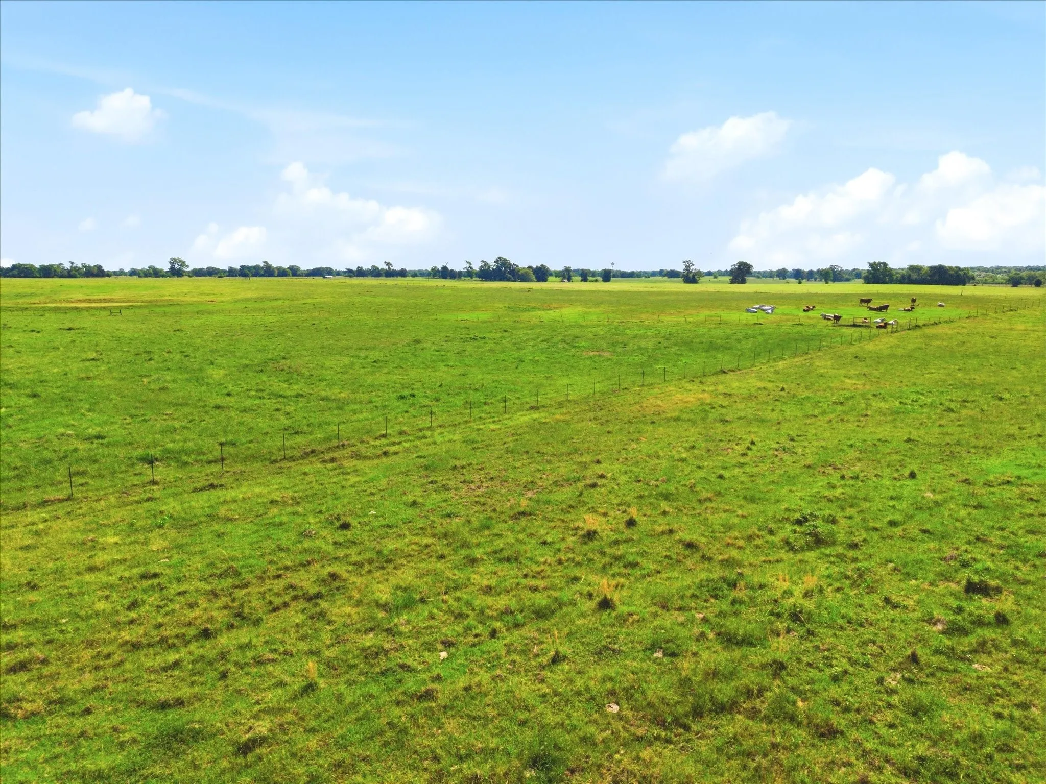 Improved Land For Sale in Van Zandt County , TBD Farm to Market 1995, Van, Texas 75790, 0, 0, Garage spaces, 0 Sqft, built in 0, mls#21261913, Real Estate Agent in Van, Homes For Sale in Van Zandt county, Homes For Sale in Van, Realtor in Van Texas, Real Estate Brokerage Independent Realty Texas, Luminita Cordes Realtor