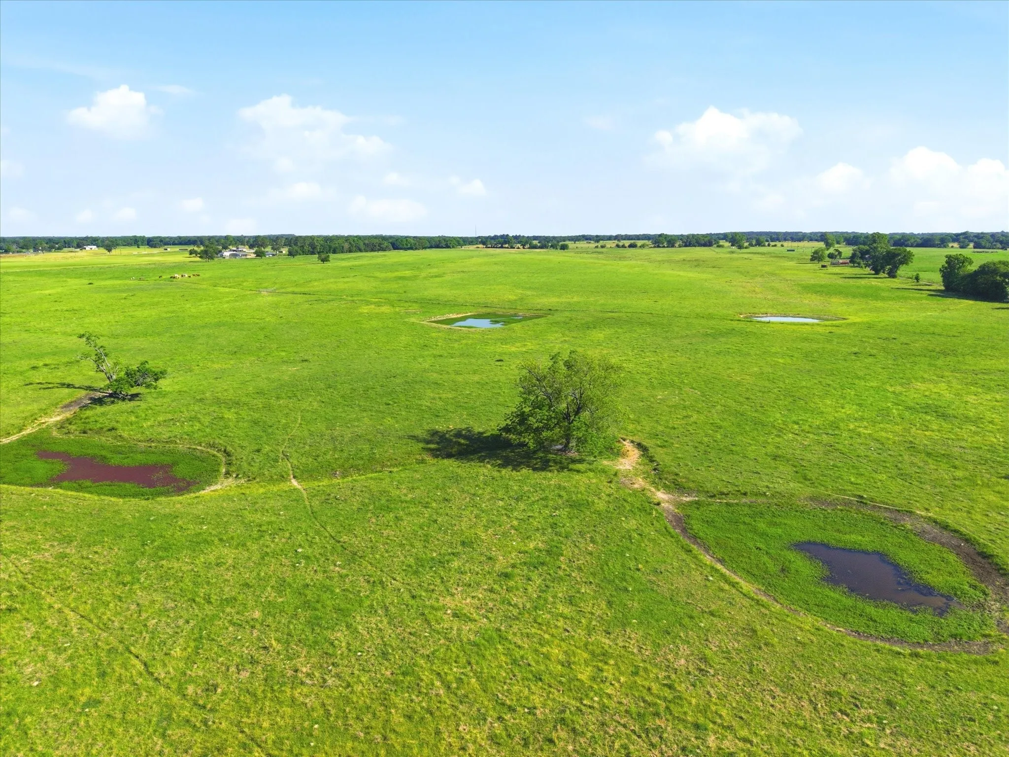 Improved Land For Sale in Van Zandt County , TBD Farm to Market 1995, Van, Texas 75790, 0, 0, Garage spaces, 0 Sqft, built in 0, mls#21261913, Real Estate Agent in Van, Homes For Sale in Van Zandt county, Homes For Sale in Van, Realtor in Van Texas, Real Estate Brokerage Independent Realty Texas, Luminita Cordes Realtor