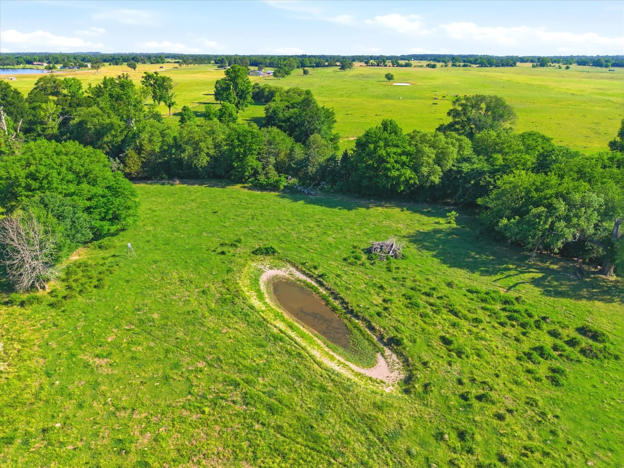 Improved Land For Sale in Van Zandt County , TBD Farm to Market 1995, Van, Texas 75790, 0, 0, Garage spaces, 0 Sqft, built in 0, mls#21261913, Real Estate Agent in Van, Homes For Sale in Van Zandt county, Homes For Sale in Van, Realtor in Van Texas, Real Estate Brokerage Independent Realty Texas, Luminita Cordes Realtor