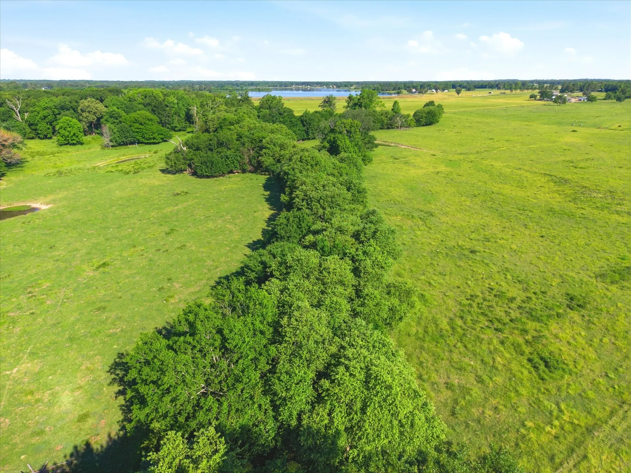 Improved Land For Sale in Van Zandt County , TBD Farm to Market 1995, Van, Texas 75790, 0, 0, Garage spaces, 0 Sqft, built in 0, mls#21261913, Real Estate Agent in Van, Homes For Sale in Van Zandt county, Homes For Sale in Van, Realtor in Van Texas, Real Estate Brokerage Independent Realty Texas, Luminita Cordes Realtor