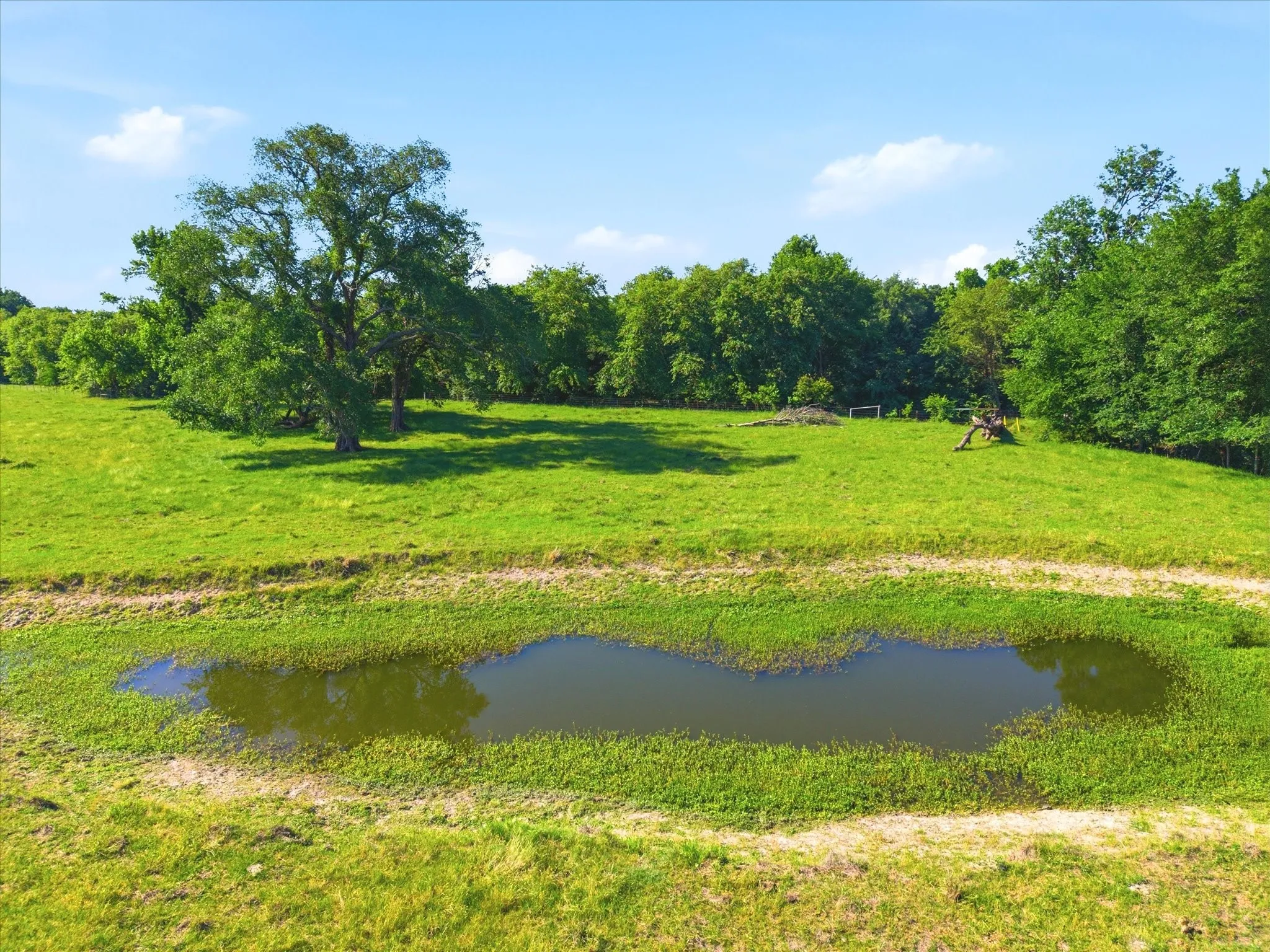 Improved Land For Sale in Van Zandt County , TBD Farm to Market 1995, Van, Texas 75790, 0, 0, Garage spaces, 0 Sqft, built in 0, mls#21261913, Real Estate Agent in Van, Homes For Sale in Van Zandt county, Homes For Sale in Van, Realtor in Van Texas, Real Estate Brokerage Independent Realty Texas, Luminita Cordes Realtor
