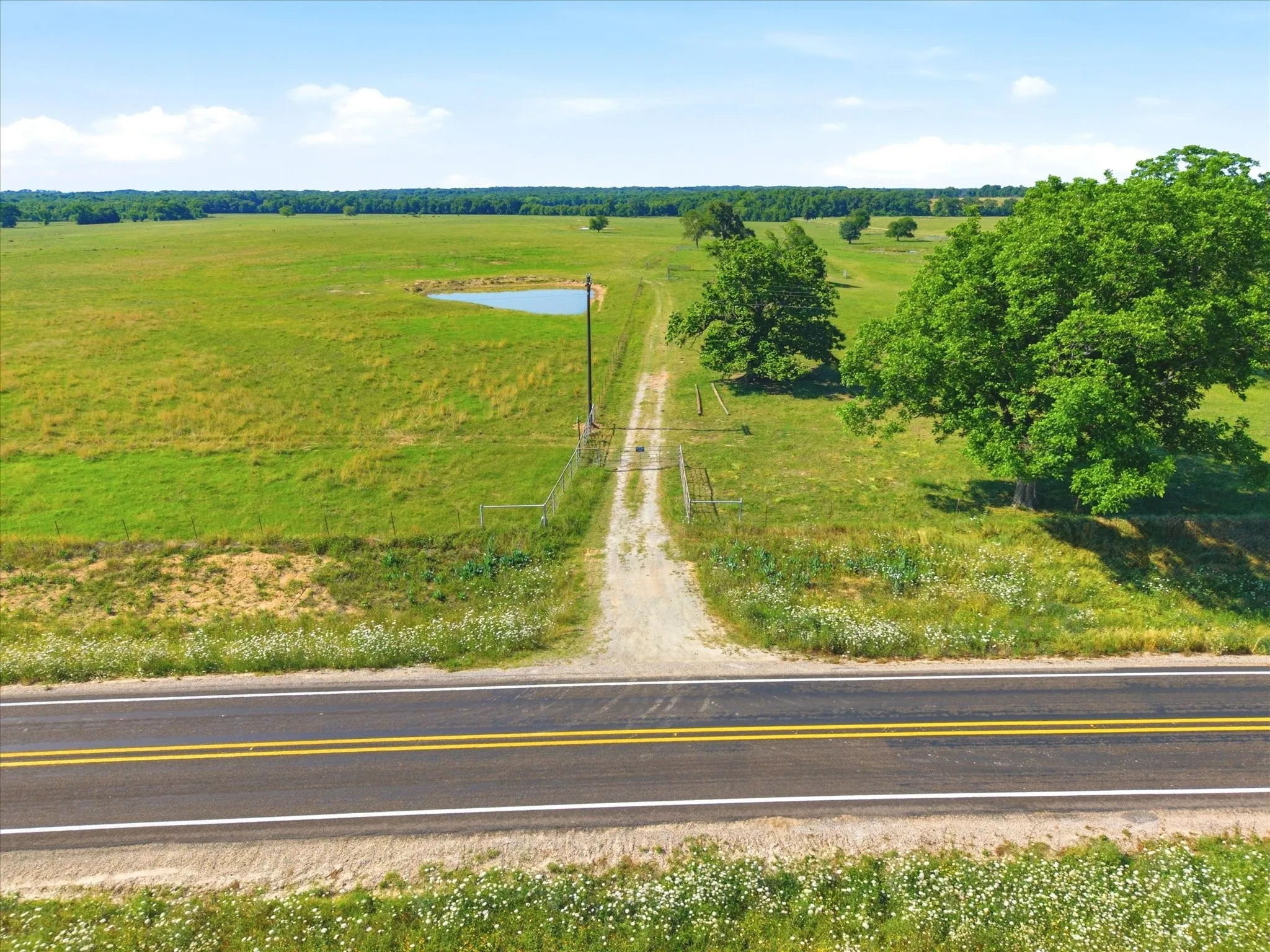 Improved Land For Sale in Van Zandt County , TBD Farm to Market 1995, Van, Texas 75790, 0, 0, Garage spaces, 0 Sqft, built in 0, mls#21261913, Real Estate Agent in Van, Homes For Sale in Van Zandt county, Homes For Sale in Van, Realtor in Van Texas, Real Estate Brokerage Independent Realty Texas, Luminita Cordes Realtor