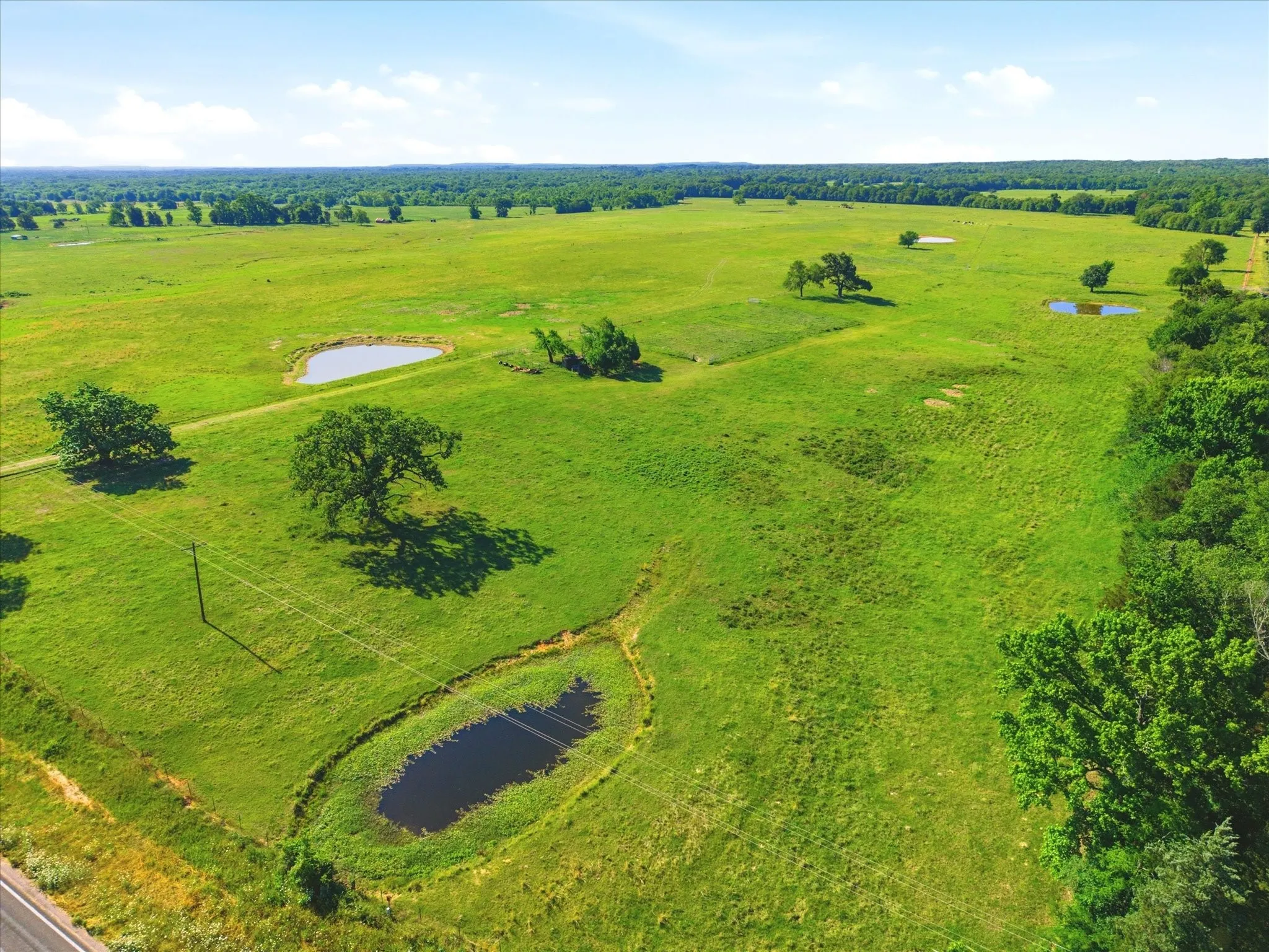 Improved Land For Sale in Van Zandt County , TBD Farm to Market 1995, Van, Texas 75790, 0, 0, Garage spaces, 0 Sqft, built in 0, mls#21261913, Real Estate Agent in Van, Homes For Sale in Van Zandt county, Homes For Sale in Van, Realtor in Van Texas, Real Estate Brokerage Independent Realty Texas, Luminita Cordes Realtor