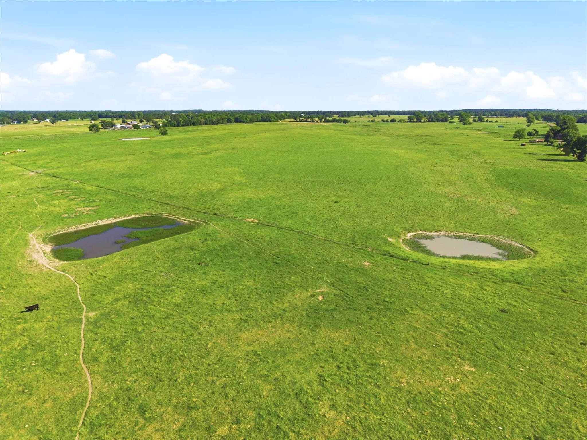 Improved Land For Sale in Van Zandt County , TBD Farm to Market 1995, Van, Texas 75790, 0, 0, Garage spaces, 0 Sqft, built in 0, mls#21261913, Real Estate Agent in Van, Homes For Sale in Van Zandt county, Homes For Sale in Van, Realtor in Van Texas, Real Estate Brokerage Independent Realty Texas, Luminita Cordes Realtor