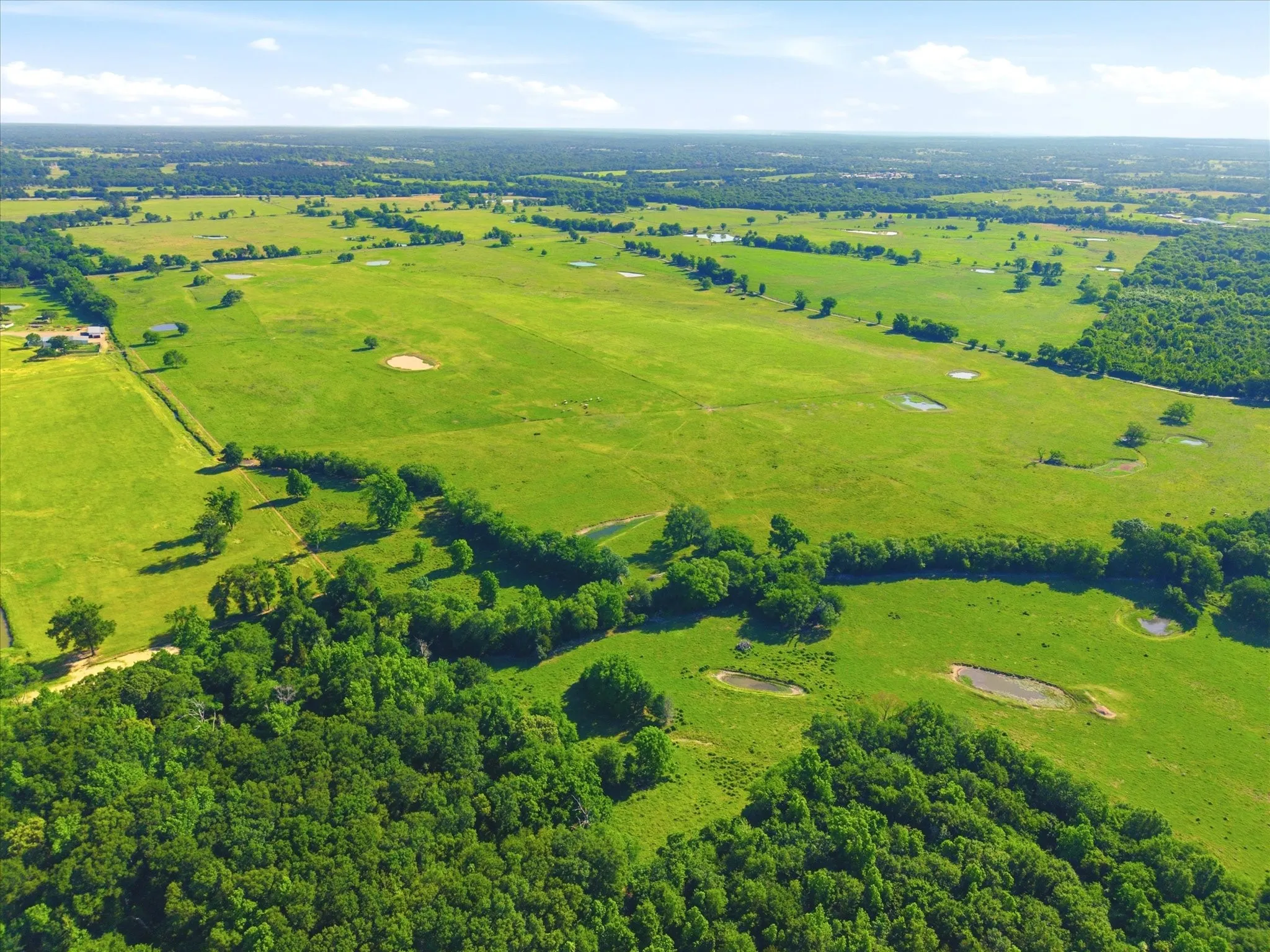Improved Land For Sale in Van Zandt County , TBD Farm to Market 1995, Van, Texas 75790, 0, 0, Garage spaces, 0 Sqft, built in 0, mls#21261913, Real Estate Agent in Van, Homes For Sale in Van Zandt county, Homes For Sale in Van, Realtor in Van Texas, Real Estate Brokerage Independent Realty Texas, Luminita Cordes Realtor