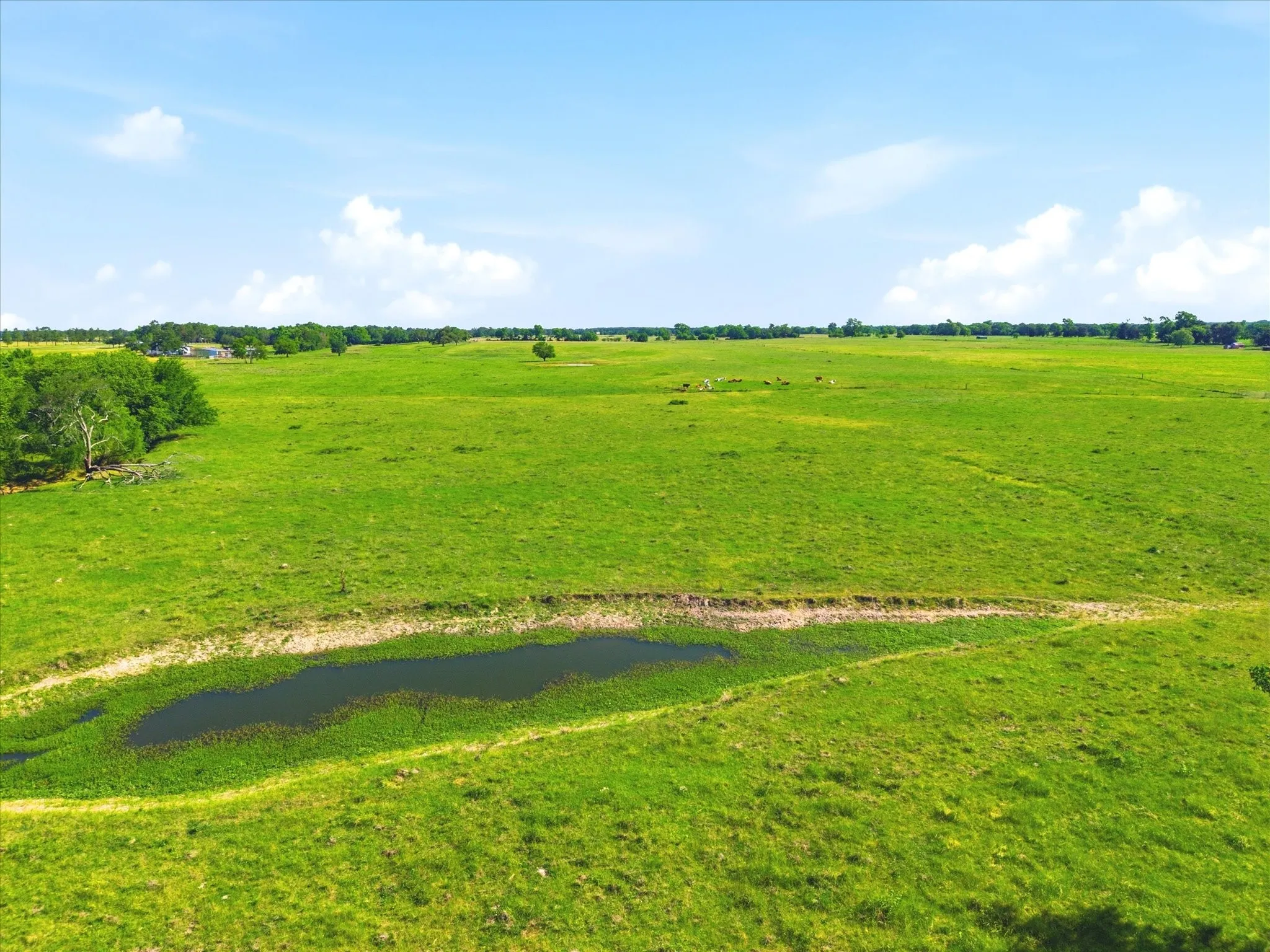 Improved Land For Sale in Van Zandt County , TBD Farm to Market 1995, Van, Texas 75790, 0, 0, Garage spaces, 0 Sqft, built in 0, mls#21261913, Real Estate Agent in Van, Homes For Sale in Van Zandt county, Homes For Sale in Van, Realtor in Van Texas, Real Estate Brokerage Independent Realty Texas, Luminita Cordes Realtor
