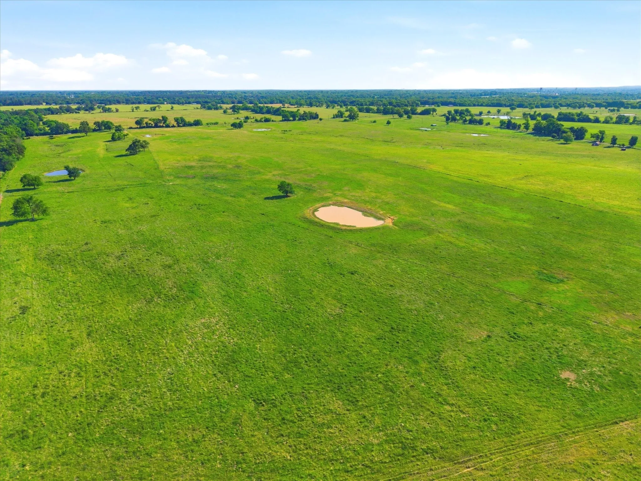 Improved Land For Sale in Van Zandt County , TBD Farm to Market 1995, Van, Texas 75790, 0, 0, Garage spaces, 0 Sqft, built in 0, mls#21261913, Real Estate Agent in Van, Homes For Sale in Van Zandt county, Homes For Sale in Van, Realtor in Van Texas, Real Estate Brokerage Independent Realty Texas, Luminita Cordes Realtor
