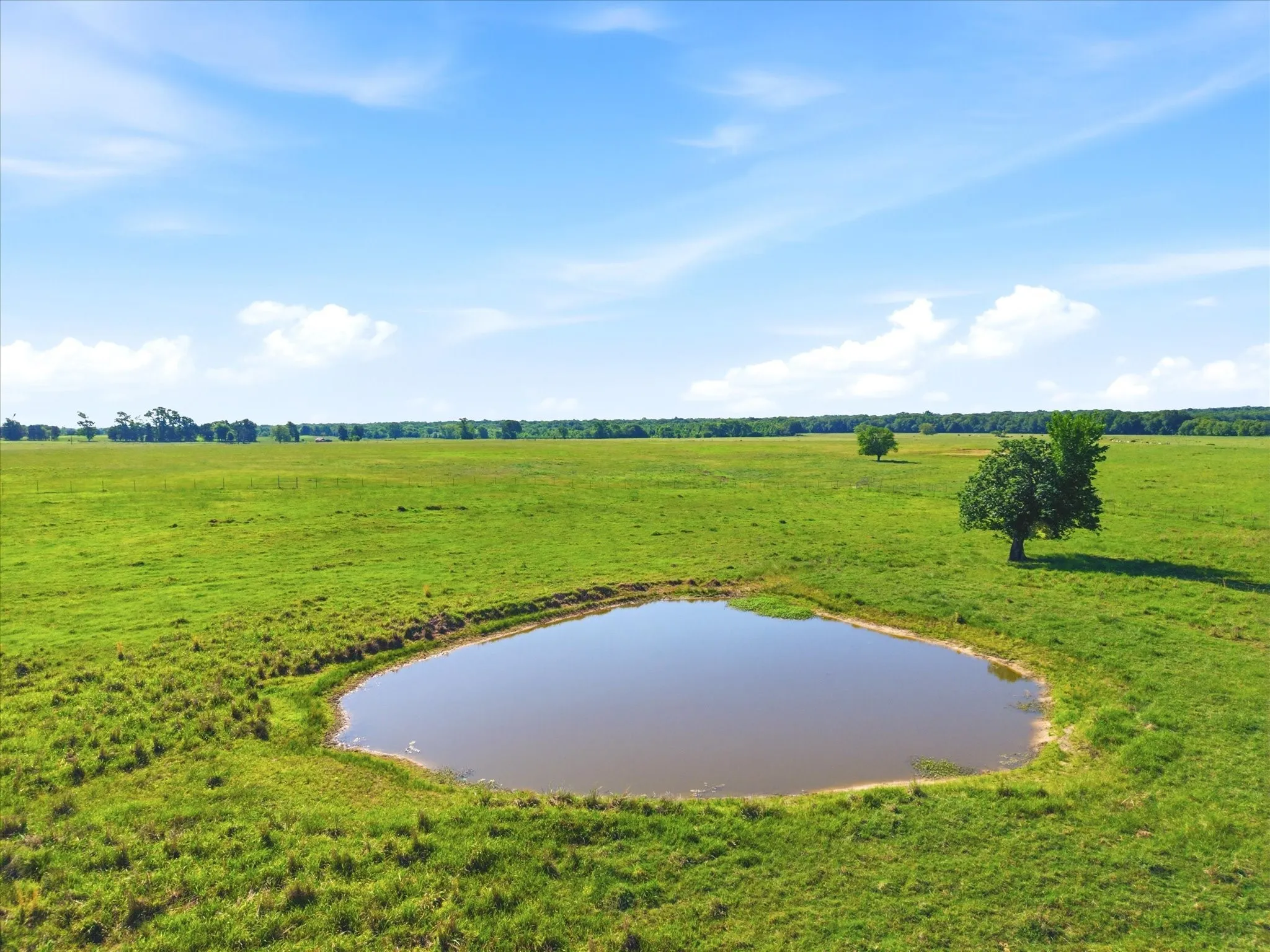 Improved Land For Sale in Van Zandt County , TBD Farm to Market 1995, Van, Texas 75790, 0, 0, Garage spaces, 0 Sqft, built in 0, mls#21261913, Real Estate Agent in Van, Homes For Sale in Van Zandt county, Homes For Sale in Van, Realtor in Van Texas, Real Estate Brokerage Independent Realty Texas, Luminita Cordes Realtor