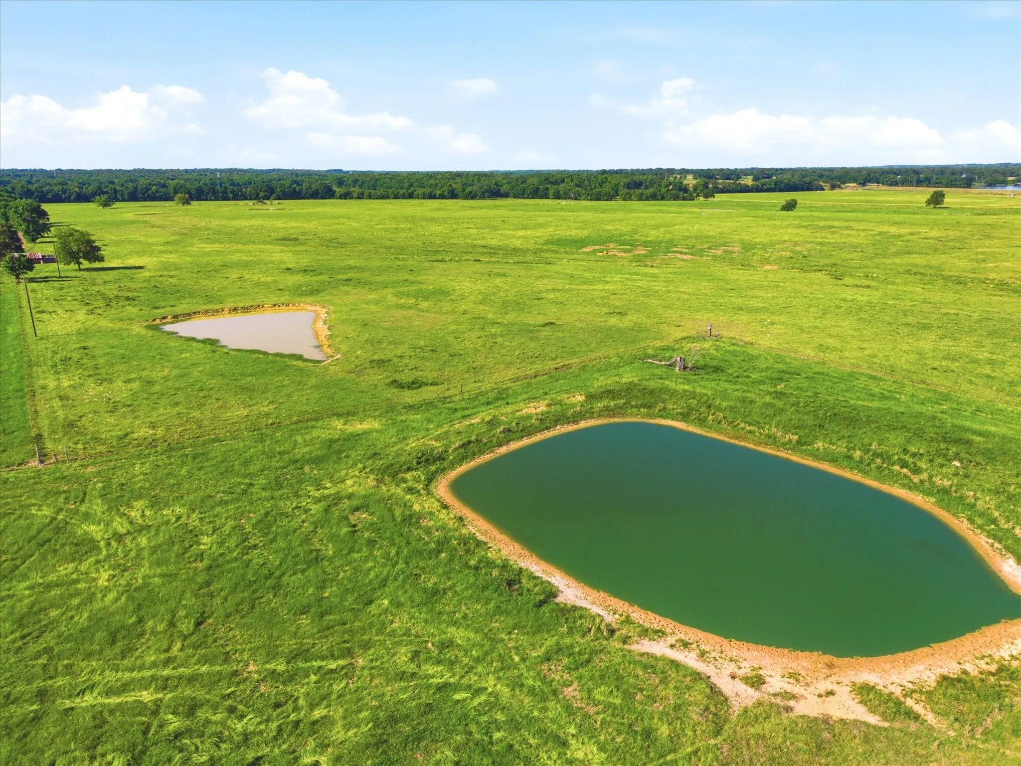 Improved Land For Sale in Van Zandt County , TBD Farm to Market 1995, Van, Texas 75790, 0, 0, Garage spaces, 0 Sqft, built in 0, mls#21261913, Real Estate Agent in Van, Homes For Sale in Van Zandt county, Homes For Sale in Van, Realtor in Van Texas, Real Estate Brokerage Independent Realty Texas, Luminita Cordes Realtor