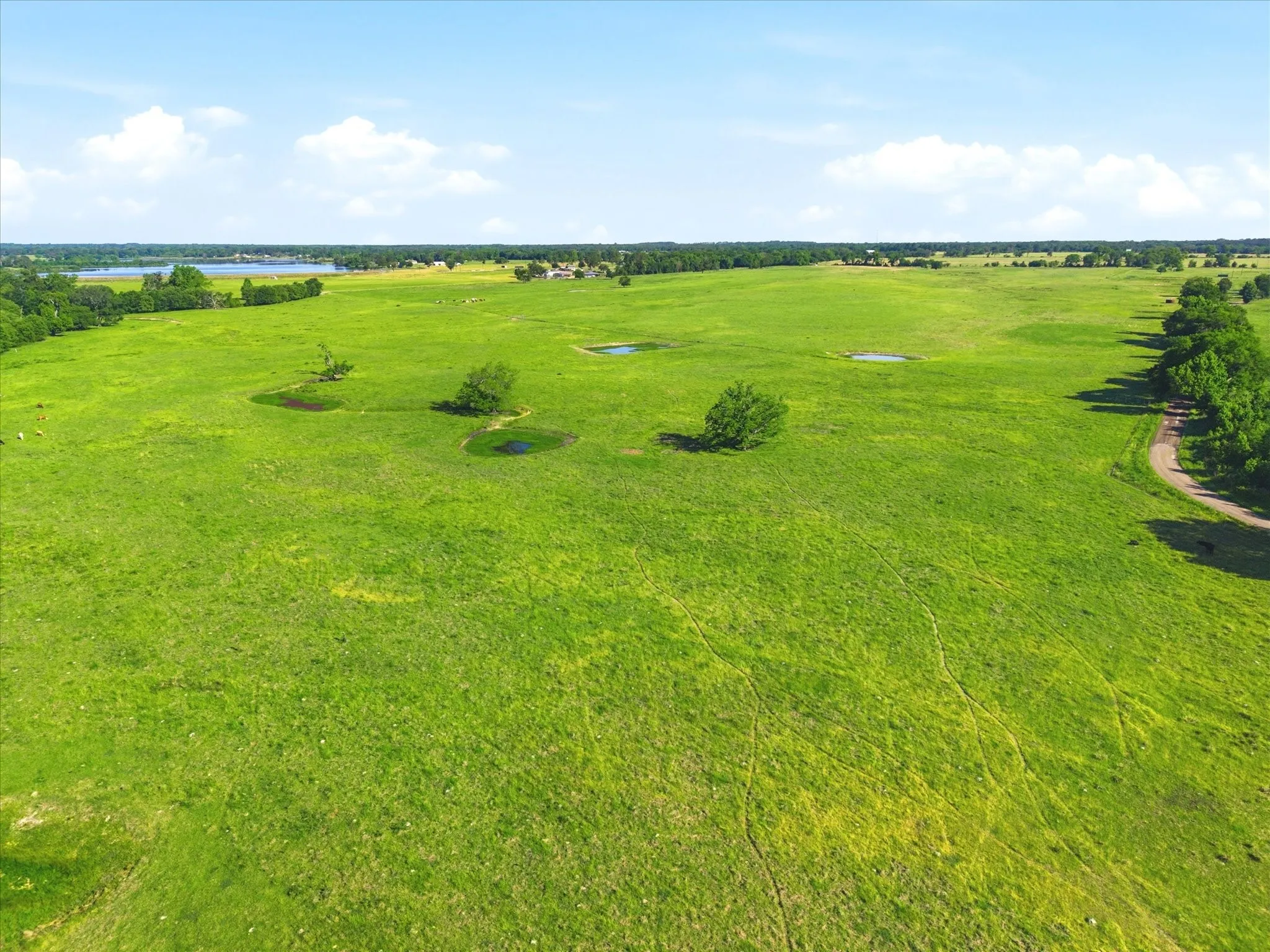 Improved Land For Sale in Van Zandt County , TBD Farm to Market 1995, Van, Texas 75790, 0, 0, Garage spaces, 0 Sqft, built in 0, mls#21261913, Real Estate Agent in Van, Homes For Sale in Van Zandt county, Homes For Sale in Van, Realtor in Van Texas, Real Estate Brokerage Independent Realty Texas, Luminita Cordes Realtor